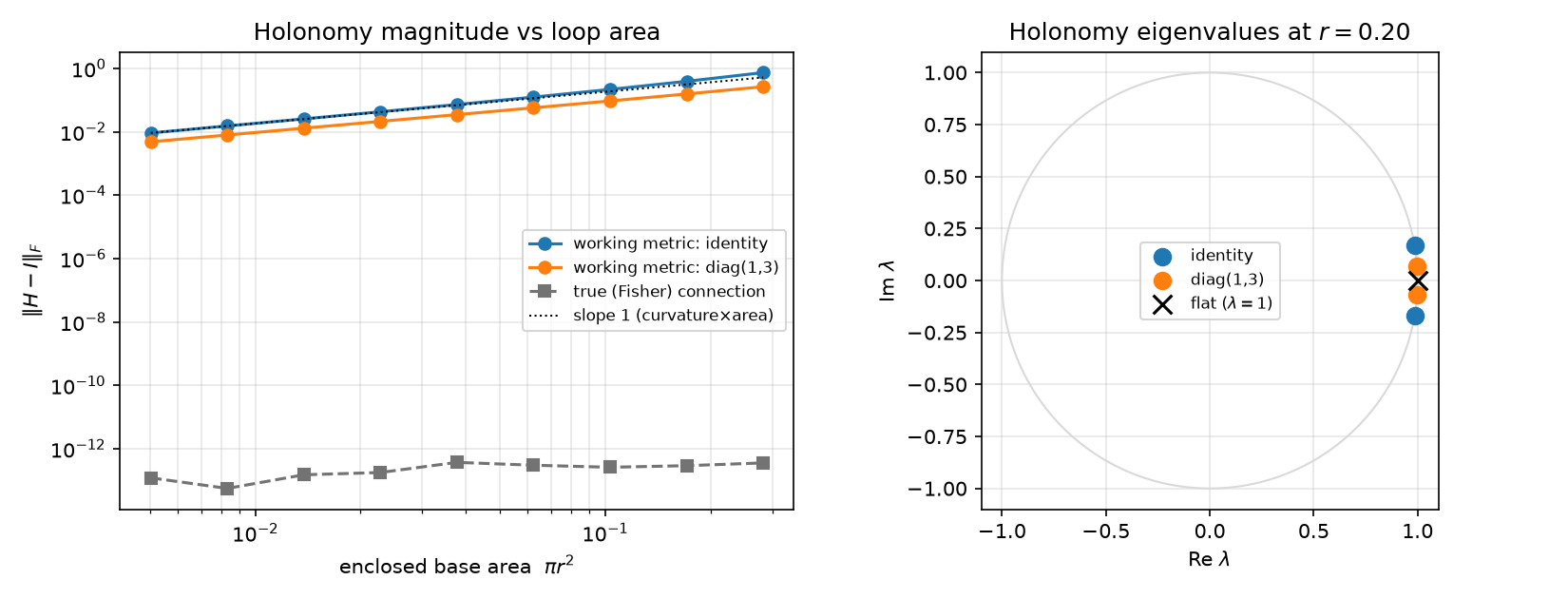Figure 10: Working-metric connections are genuinely curved. Left: Frobenius holonomy \left\|H_M-I\right\|_F against enclosed base area \pi r^2, log-log. The true (Fisher) connection sits at the integrator floor (\sim 10^{-13}, flat, Proposition 1); the identity and \mathrm{diag}(1,3) working metrics lie on slope-1 lines, so their holonomy scales linearly with area — the signature of a genuine curvature, not noise. Right: holonomy eigenvalues at r=0.20; the working-metric spectra sit off the real axis (rotation), while the true connection gives \lambda = 1. Derivatives are validated against automatic differentiation to \sim 10^{-16}; transport uses DOP853 at tolerance 10^{-12} (data-raw/ad_holonomy.py).
