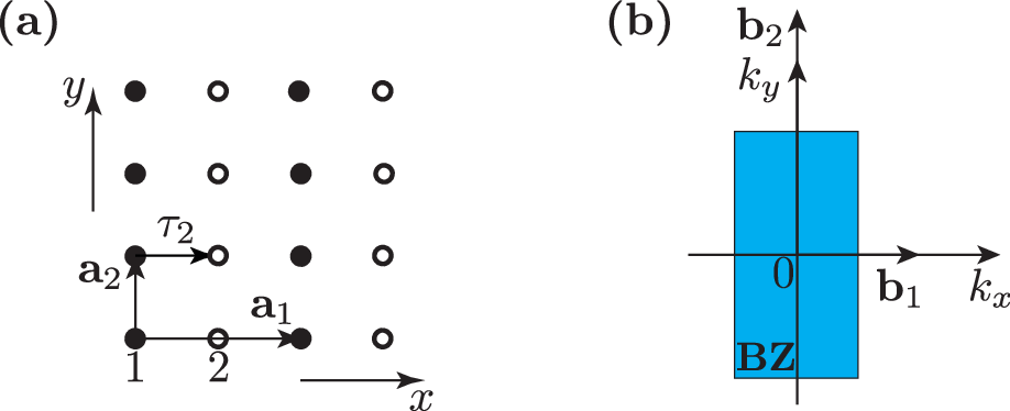 Figure 5: (a) Layered square lattice with the primitive lattice vectors \boldsymbol{a}_{1} = 2a \hat{x} and \boldsymbol{a}_{2} = a\hat{y} and two sites per unit cell, with basis position vectors \tau_{1}=0 and \tau_{2}=a\hat{x}. Sublattice 1 is depicted by black circles and sublattice 2 is depicted by white circles. (b) The lattice Brillouin zone (BZ). The reciprocal lattice vectors are \boldsymbol{b}_{1} = \frac{\pi}{a}\hat{x}, \boldsymbol{b}_{2} = \frac{2\pi}{a}\hat{y}.