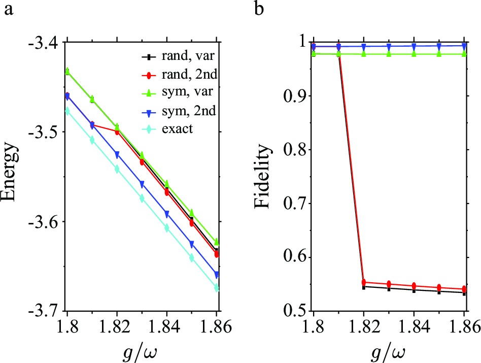 Figure 5: Effect of translational-symmetry constraint on the Holstein-model ground state near intermediate coupling. (a) Ground-state energy versus g/\omega for unconstrained random initial states (‘rand’) and translationally symmetric states (‘sym’), compared with exact diagonalization; ‘var’ and ‘2nd’ denote zeroth-order and second-order results. (b) Corresponding fidelity. The unconstrained solution can have lower variational energy but poor fidelity, whereas the symmetry-constrained branch remains close to the exact ground state.