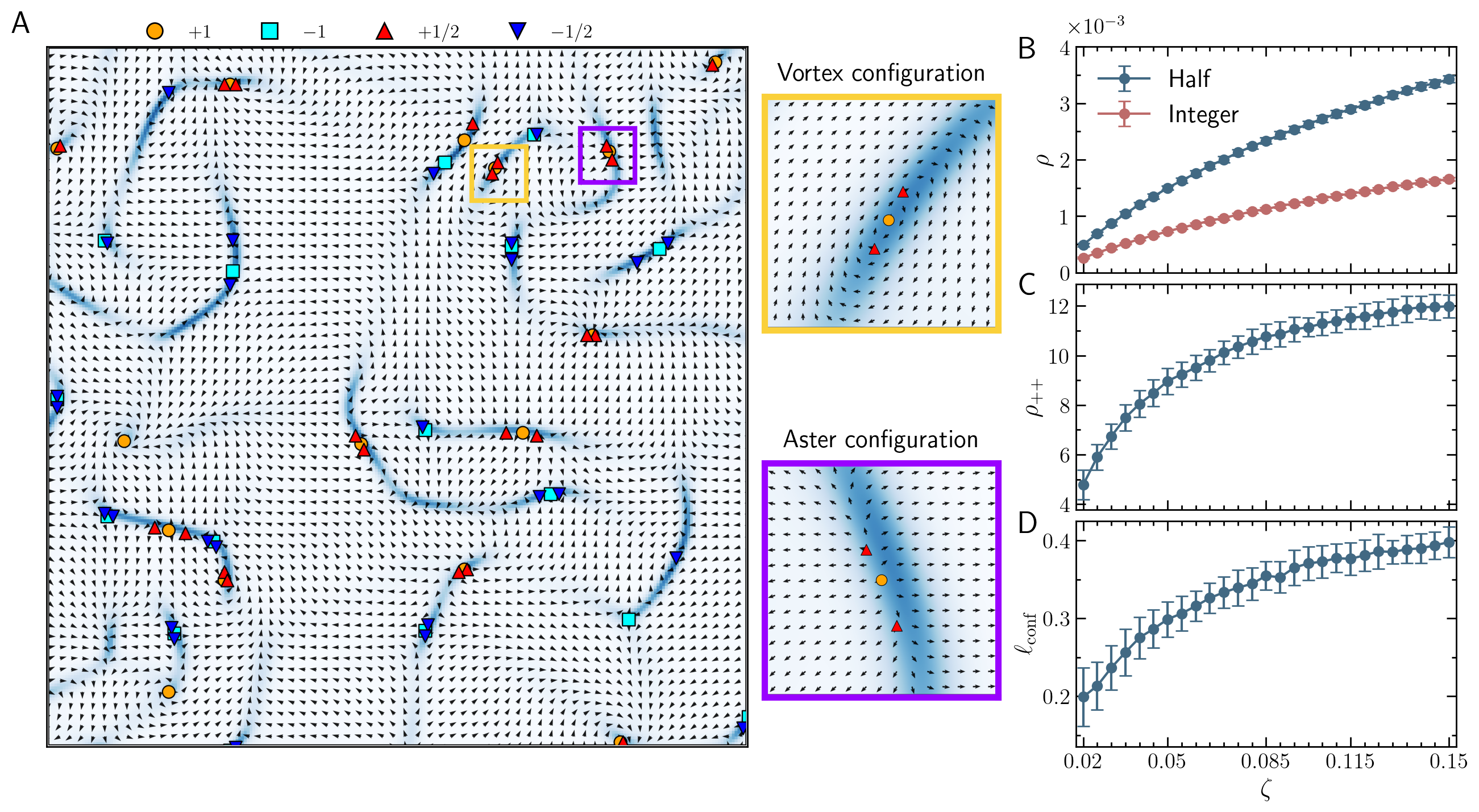 Figure 3: Defect coexistence and activity-driven strings in the continuum simulations. (A) Snapshot of the polarization field displaying the coexistence of mixed topological defects. Colorbar represents the elastic energy density. (B) Defect density as a function of the activity parameter \zeta for both integer and half-integer topological charges, exhibiting a monotonic increase with increasing activity. (C) Density of positive strings as a function of activity. The string density is normalized by the square root of the +1/2 defect number. (D) Mean positive string length as a function of the activity parameter. The length is normalized by the characteristic defect spacing, \sqrt{L^{2}/N_{+1/2}}. Simulations use elastic constants K_n = K_p = 0.5.
