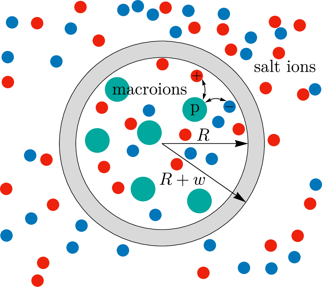 Figure 1: Schematic rendition of the molecular model. Electrolyte ions are exchangeable between the inside and the outside of the spherical enclosure (nano-reactor) and are thus in grand canonical equilibrium, characterized by a fixed chemical potential. The macroion cargo, on the other hand, is entrapped inside the enclosure and is thus not in grand canonical equilibrium with the bulk but can be seen as corresponding to a canonical subsystem with a fixed number of macroions, set by the experimental (preparation) procedure. Charge regulation of the macroions is indicated by the arrows indicating the adsorption/desorption charge regulation equilibrium. The inner and outer surfaces of the shell are assumed to carry fixed surface charge densities \sigma_R and \sigma_{R+w} of constant magnitude. The dielectric constant of water is \varepsilon_w, and the dielectric constant of the shell is \varepsilon_m.