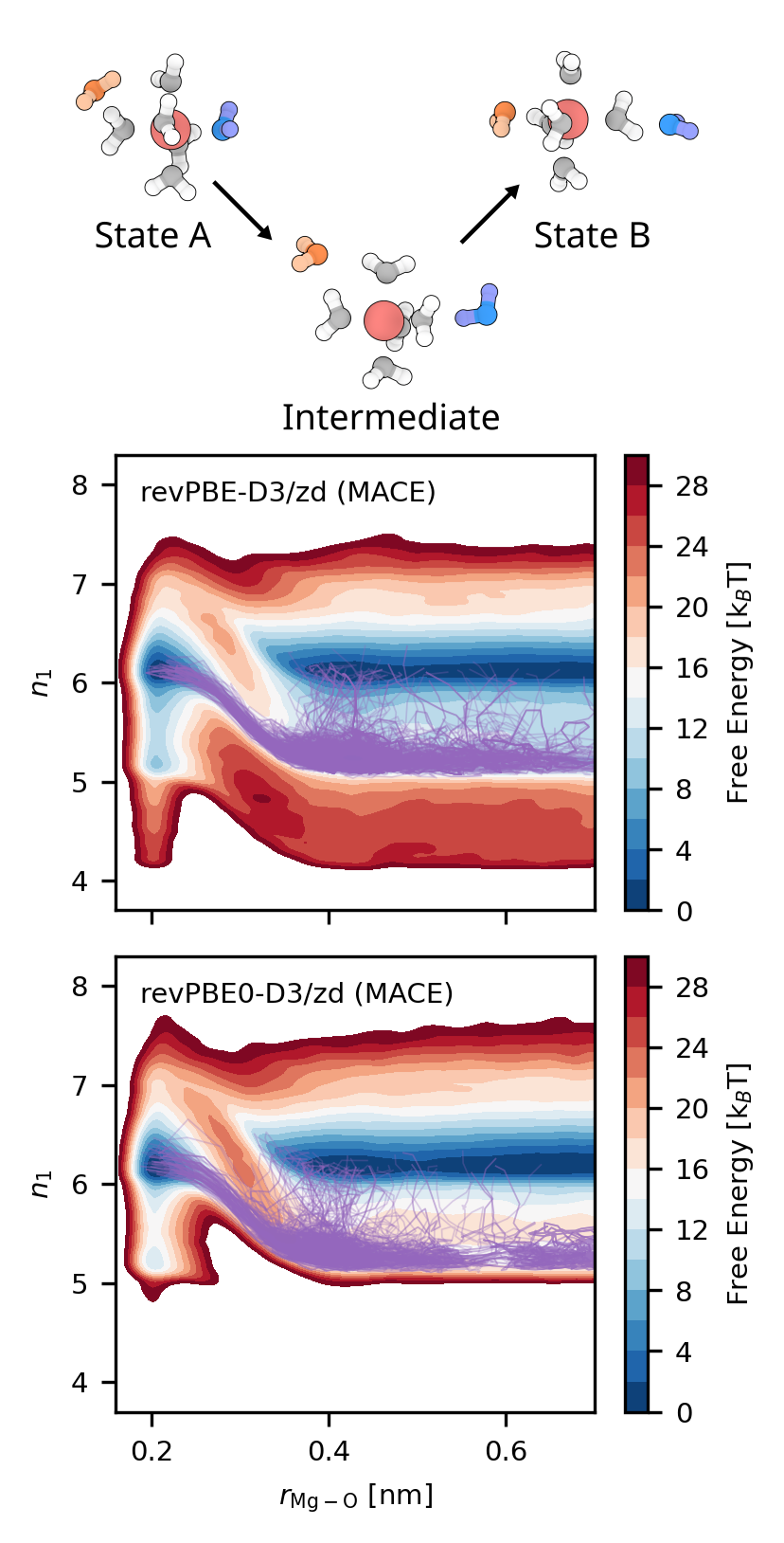 Figure 3: Top: Schematic representation of water exchange in the first hydration shell of Mg^{2+}: Initial state A, representative five-fold coordinated intermediate with the exchanging water molecules outside of the first hydration shell, and the final state B. The incoming water molecule is shown in orange and the leaving water molecule in blue. Bottom: Free energy landscapes as functions of the Mg^{2+}–oxygen distance of the exchanging water molecule, r_{\mathrm{Mg-O}}, and the first-shell coordination number, n_1, for the revPBE-D3/zd and revPBE0-D3/zd MACE potentials. Purple lines represent individual water-exchange trajectories sampled by Transition Path Sampling.