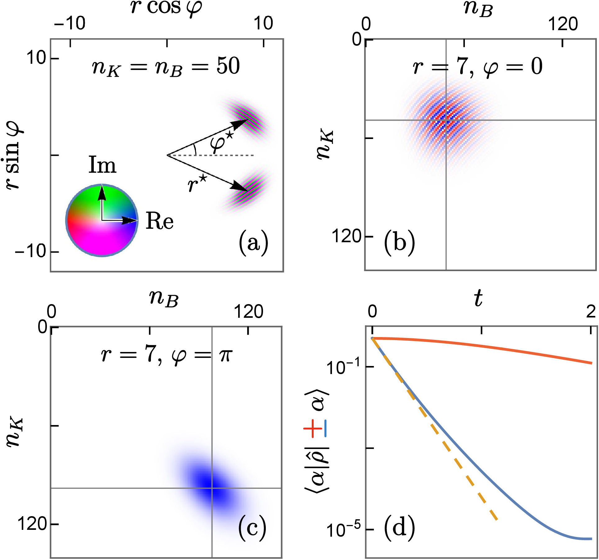 Figure 4: (a) A section of the super Husimi function C_{n_K, n_B}(\alpha_K, \alpha_B) in doubled phase space (see text) for the eigenmode that represents population of the Fock state |n=50\rangle. Here, r = |\alpha_K| = |\alpha_B| and \varphi = \text{arg}(\alpha_K^* \alpha_B). Arrows show the peak locations at r^{\star} > \sqrt{n} and \varphi^{\star} \neq 0. (b,c) Distribution over the eigenmodes for a given r and \varphi, peaked at n_K^{\star} = n_B^{\star} \approx r^2 for \varphi = 0 and n_K^{\star} = n_B^{\star} \approx 2r^2 for \varphi = \pi (gray lines). (d) Starting from a cat state |\alpha\rangle + |\!-\alpha\rangle with \alpha=3, \omega=0, \gamma=0.5, the population \langle \alpha | \hat{\rho} | \alpha \rangle decays quadratically, whereas the coherence \langle \alpha | \hat{\rho} | -\alpha \rangle decays at a rate given by the dominant eigenmode for \varphi = \pi (dashed line).