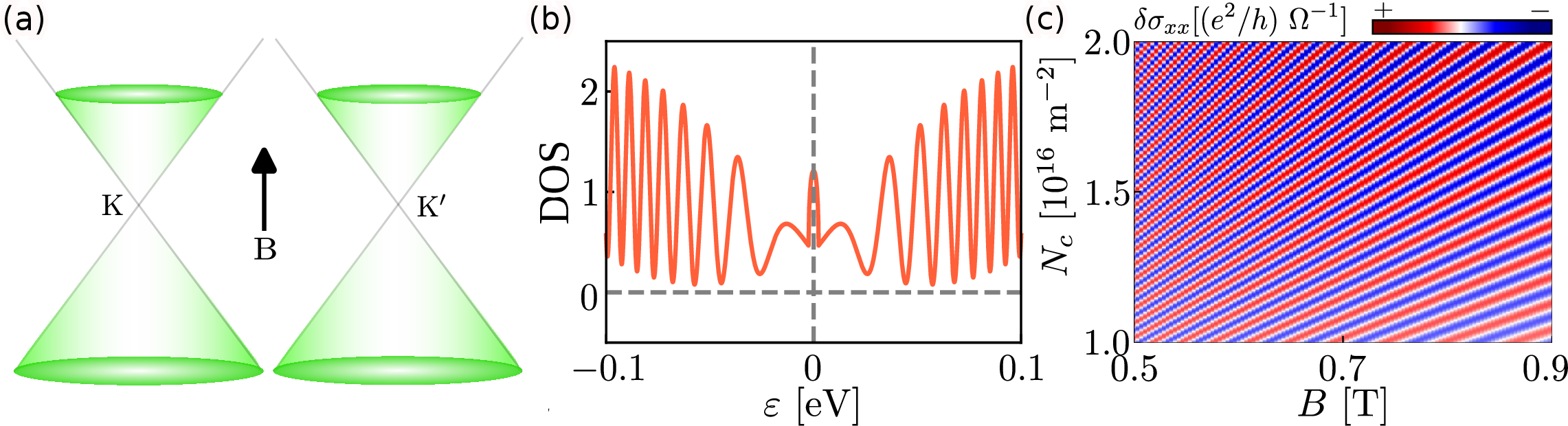 Figure 2: Single-frequency quantum oscillations in pristine single-layer graphene. (a) The two valleys have identical Fermi-surface areas and experience the same applied field. (b) The density of states shows the usual SdH oscillations as a function of energy. We use B=1~{\rm T}, v_F=10^6~{\rm m/s}, and \Delta=0. (c) The oscillatory longitudinal magnetoconductivity \delta\sigma_{xx} in the N-B plane contains no beating nodes because the two valley contributions have the same frequency. We use n_{\rm im}=10^{13}~{\rm m^{-2}} and k_s=10^8~{\rm m^{-1}}.