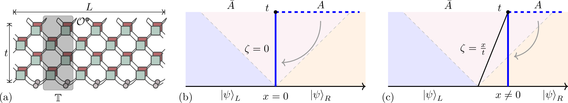 Figure 1: (a): A tensor-network diagram of a local expectation value after a quantum quench under circuit evolution. Green and red gates represent U and U^{\ast} respectively, gray circles at the bottom are the initial (product) state, and the circle at the top is a local observable \mathcal{O}. Equivalently the tensor network can be contracted in space by replacing the space-transfer matrix \mathbb{T} with the projector to its leading eigenvectors. (b): Duality from the original entropy of A at time t (dashed blue line) to the entropy in the dual channel at the boundary of A (full blue line). The light cone represents the region in which the occupation functions are a mixture of those of left and right states. Since the boundary between A and \bar{A} lies precisely at the bipartition, in the swapped channel the solution depends solely on the ray \zeta=0. (c): Duality from the original entropy of A at time t to the entropy in the dual channel at the boundary of A for x\neq0. Since the boundary between A and \bar{A} is distinct from the bipartition point, the theory in swapped channel involves all rays in [{x}/{t}, \infty].
