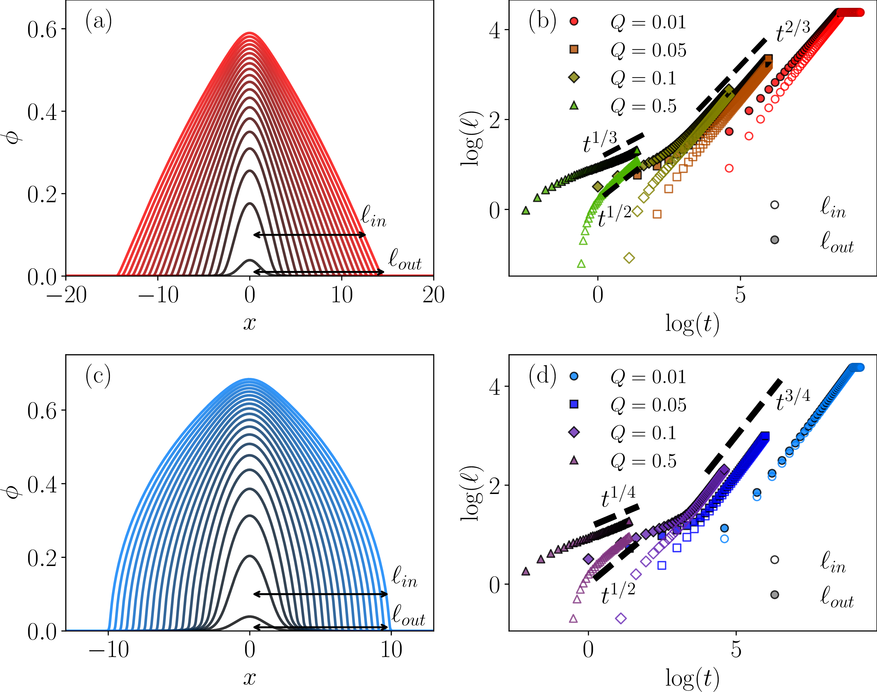 Figure 5: Numerical solutions for unentangled and entangled source-driven polymer interdiffusion with f(t)\!=\!Q. (a) Unentangled \alpha\!=\!1 source-driven A-mer dynamics \phi, as obtained from our full 1D numerical simulations of Eqs. 7 11 (with \alpha\!=\!1, N_A\!=\!10^4, and Q\!=\!0.1). Early times are depicted as gray, and later times are drawn in red. We denote the two length scales \ell_{in} and \ell_{out}, as the half-width of the droplet’s domain that is \phi\!>\!0.1 for \ell_{in} and \phi\!>\!0.01 for \ell_{out}. (b) Time-dependence of \ell_{in} and \ell_{out} for different source amplitudes Q. At short times, \ell_{in}\!\sim\!t^{1/2} similar to a linear diffusion scaling, while \ell_{out}\!\sim\!t^{1/3} as in the passive droplet scenario. At long times, both length scales converge to a nonlinear scaling \sim\!t^{2/3}. (c) Entangled source-driven A-mer dynamics \phi, as obtained from our full 1D numerical simulations of Eqs. 7 11 (with \alpha\!=\!10^4, N_A\!=\!10^4, and Q\!=\!0.1). Early times are depicted as gray, and later times are drawn in blue. We denote the two length scales \ell_{in} and \ell_{out} [following similar definitions as in panel (a)]. (d) Time-dependence of \ell_{in} and \ell_{out} for different source amplitudes Q. At short times, \ell_{in}\!\sim\!t^{1/2} similar to a linear diffusion scaling, while \ell_{out}\!\sim\!t^{1/4} as in the passive droplet scenario. At long times, both length scales converge to a nonlinear scaling \sim\!t^{3/4}.