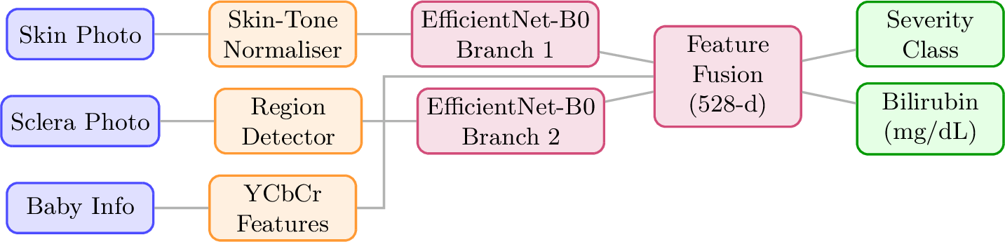 Figure 1: NeoJaundice-AI pipeline. Two image streams are preprocessed and independently processed by EfficientNet-B0 branches. Their features, along with handcrafted YCbCr statistics, are fused and fed to a severity classifier and a bilirubin regressor.