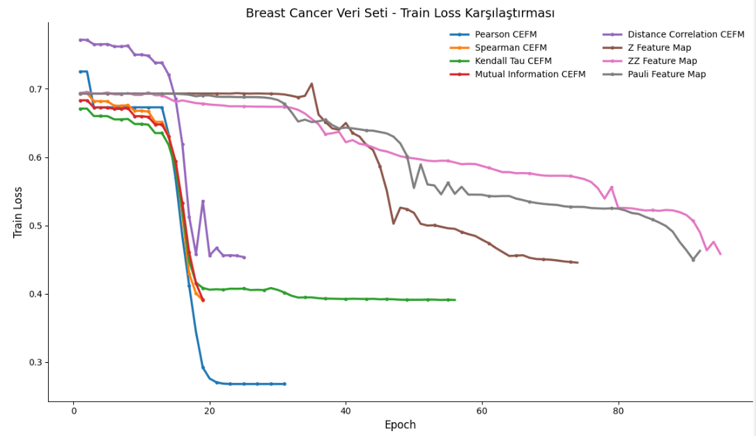 Figure 3: Training loss values throughout the epochs for the Breast Cancer dataset.