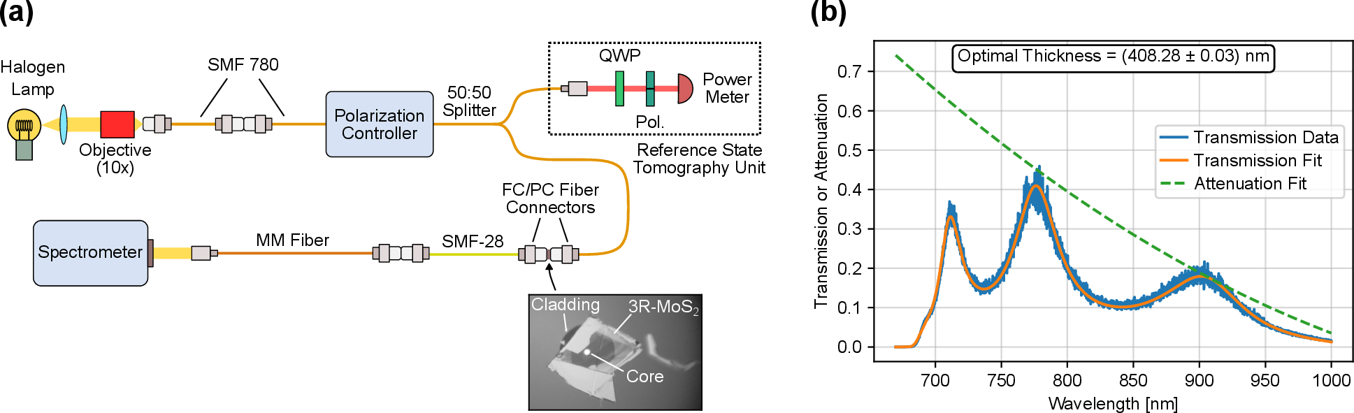 Figure 8: Spectroscopic crystal thickness characterization. (a) Modified fiber-based SPDC setup for measuring the transmission spectrum of the fiber network. (b) Recorded and fitted transmission spectra of the fiber network through the 3R-MoS2 crystal branch. The general attenuation of the fiber network (mostly caused by the 50:50 splitter) was fitted as a spline with three support points. The optimal material thickness is determined as (408.28 \pm 0.03)\,\mathrm{nm}.