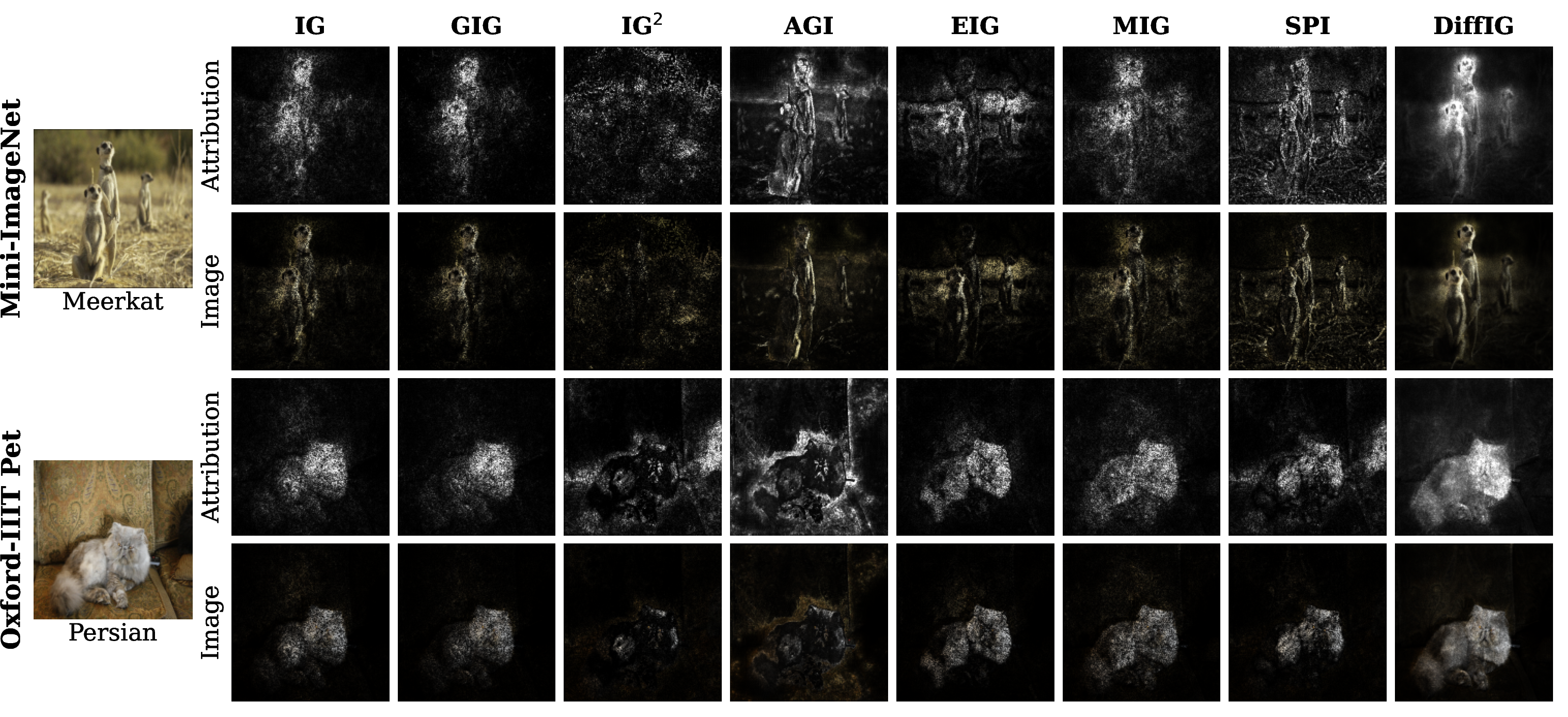 Figure 4: Qualitative comparison of path-based attribution methods on Oxford-IIIT Pet and Mini-ImageNet using VGG16. The Attribution rows show the attribution maps, and the Image rows show them overlaid on the input images.