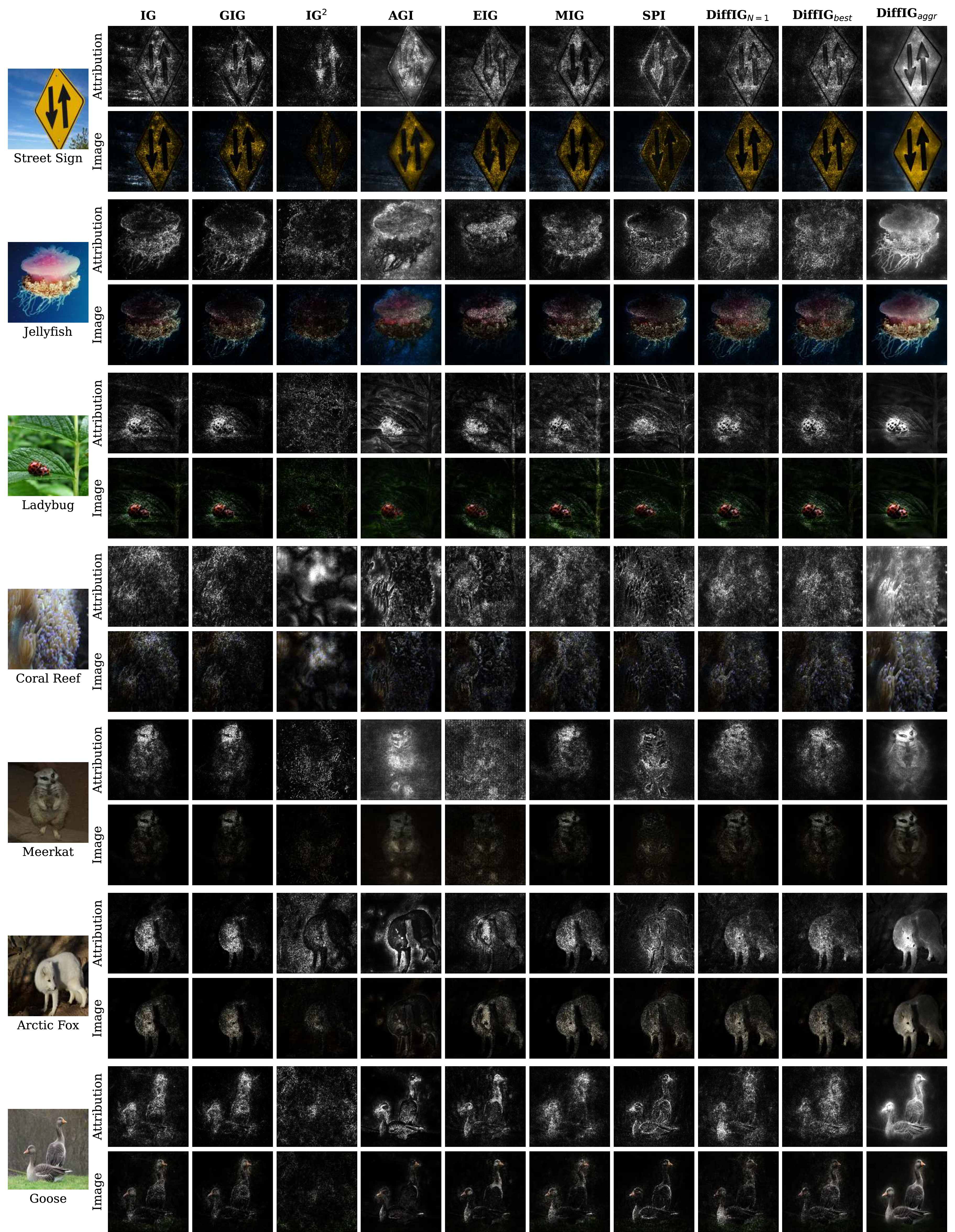 Figure 20: Attribution examples of the VGG16 model on the Mini-ImageNet validation set. Three DiffIG variants are compared: a single path candidate (N=1), the Best-of-N selection strategy (best), and the median aggregation method (aggr). The Attribution rows show the attribution maps (min-max normalized after 99th-percentile clipping). The Image rows show them overlaid on the input images.