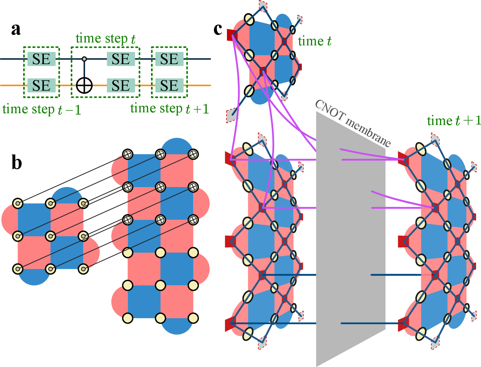 Figure 10: Space-time stabilizers and a CNOT membrane. (a) A level-0 circuit on a core and a Z bus with a core-bus CNOT gate at level-0 time step t. (b) Illustration of the core-bus CNOT gate at level-0 time step t. (c) Illustration of primitive hyperedge errors, spacetime stabilizers, and the CNOT membrane associated with the core-bus CNOT gate in (a). Each purple curved triangle corresponds to a primitive hypergraph Z error (also an X stabilizer measurement error on the CNOT membrane). The two purple curved triangles, together with three qubit errors sandwiched by these two triangles, form a space-time stabilizer. The two blue timelike edges (intersecting with the CNOT membrane), together with the two qubit errors sandwiched by these two timelike edges, also form a space-time stabilizer.