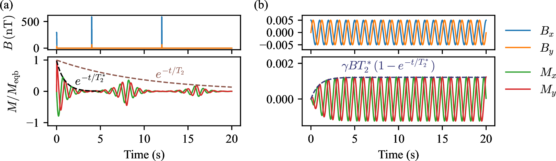Figure 3: Simulated magnetic fields in x and y directions (upper row) and induced NMR signals (lower row). The magnetizations plotted are normalized by equilibrium magnetization. (a) After \SI{90}{°} and \SI{180}{°} magnetic-field pulses in x-y plane, free decay (relaxation time T_2^*) and echo signals (relaxation time T_2) are generated. (b) Excited by a weak CW magnetic field, the NMR signals increase with \gamma B T_2^* (1 - e^{-t/T_2^*}), where B = \sqrt{B_x^2+B_y^2} is the magnitude of the excitation.