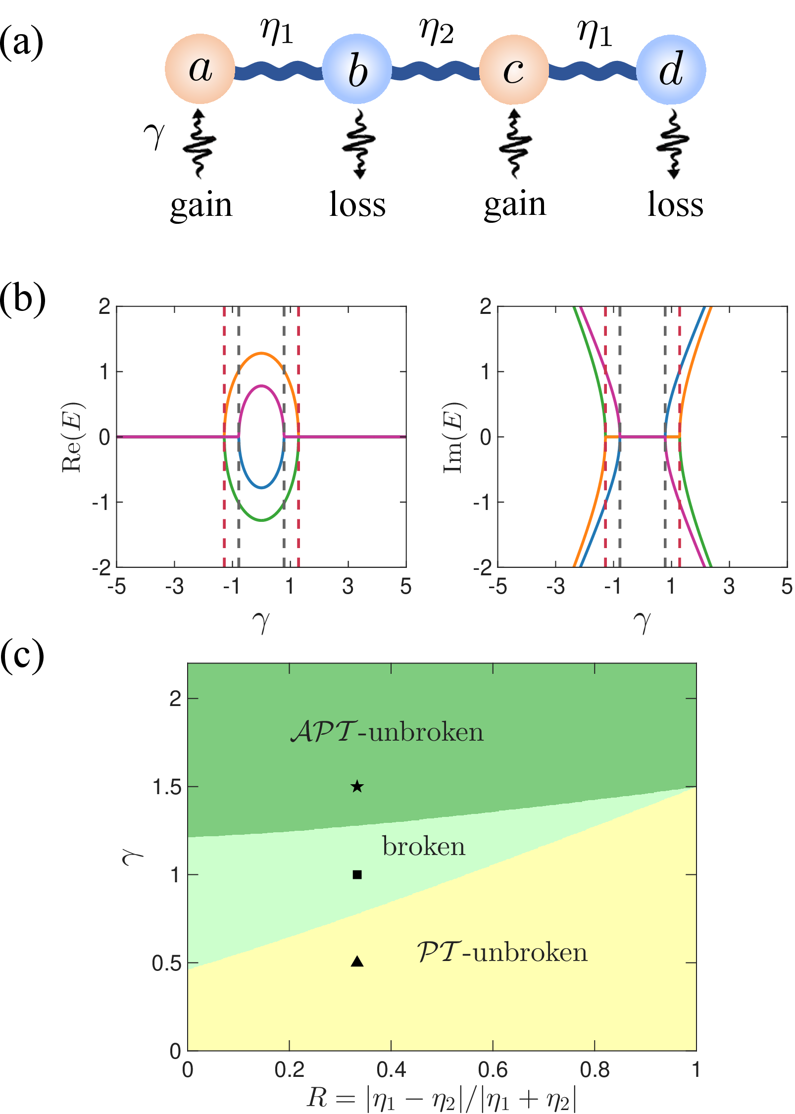 Figure 1: (a) Sketch of the minimum four-site non-Hermitian SSH model with alternating hopping strengths \eta_1 and \eta_2, and alternating gain and loss processes measured by strength \gamma. (b) Real (left panel) and imaginary (right panel) parts of the energy eigenvalues as a function of \gamma with \eta_1=1 and \eta_2=0.5. The inner grey and outer red vertical dashed lines indicate the locations of the exceptional points at \gamma = \pm \sqrt{u_-} and \gamma =\pm \sqrt{u_+}, respectively, where u_{\pm} = (2\eta_1^2 + \eta_2^2 \pm \eta_2\sqrt{4\eta_1^2 + \eta_2^2})/2. (c) Phase diagram in the (\gamma, R) parameter space for \eta_1 > \eta_2, where R = |\eta_1 - \eta_2| / (\eta_1 + \eta_2). The yellow, light green, and dark green shaded regions correspond to the \mathcal{PT}-unbroken, symmetry broken, and \mathcal{APT}-unbroken phases, respectively. The triangle, square, and star markers at R = 1/3 and \gamma \in \{0.5, 1.0, 1.5\}, respectively, designate the specific parameter sets selected for later simulations in the region with \eta_1 > \eta_2.