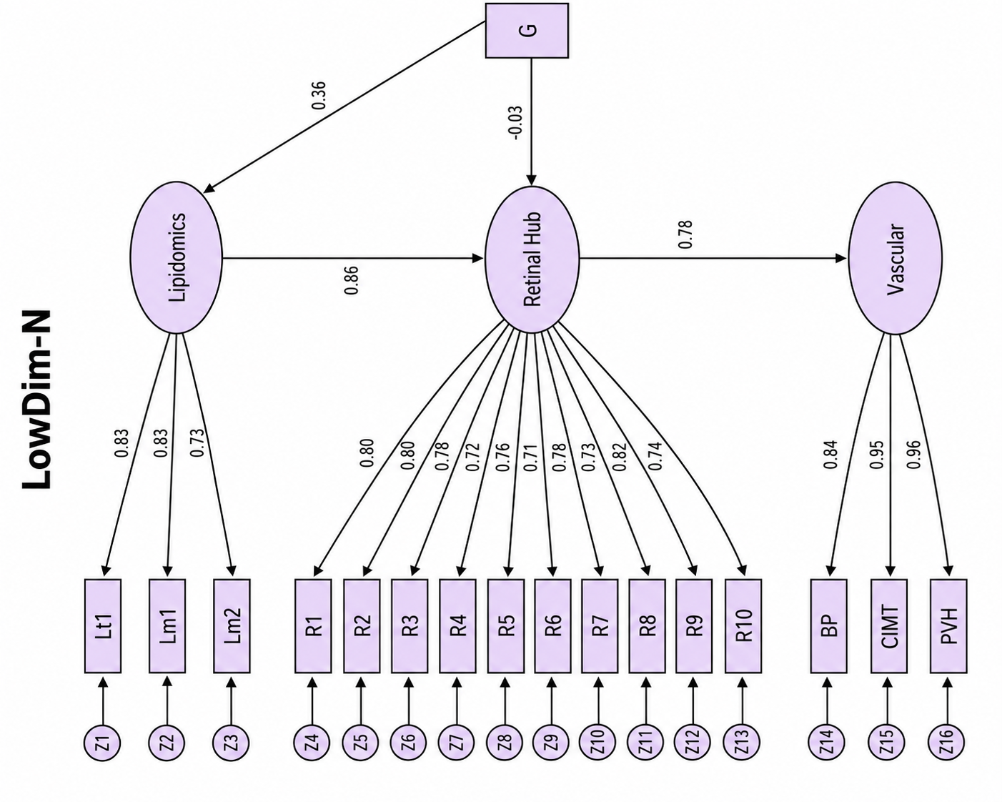 Figure 3: Illustrative mediation pathway structure for the LowDim-N synthetic setting. The diagram shows how RetiSEM organises lipidomic, retinal, and vascular indicators into a constrained pathway model, with path coefficients shown for the representative low-dimensional regime. Full TE, NDE, and NIE decompositions across all synthetic benchmark scenarios are reported in Table 3.