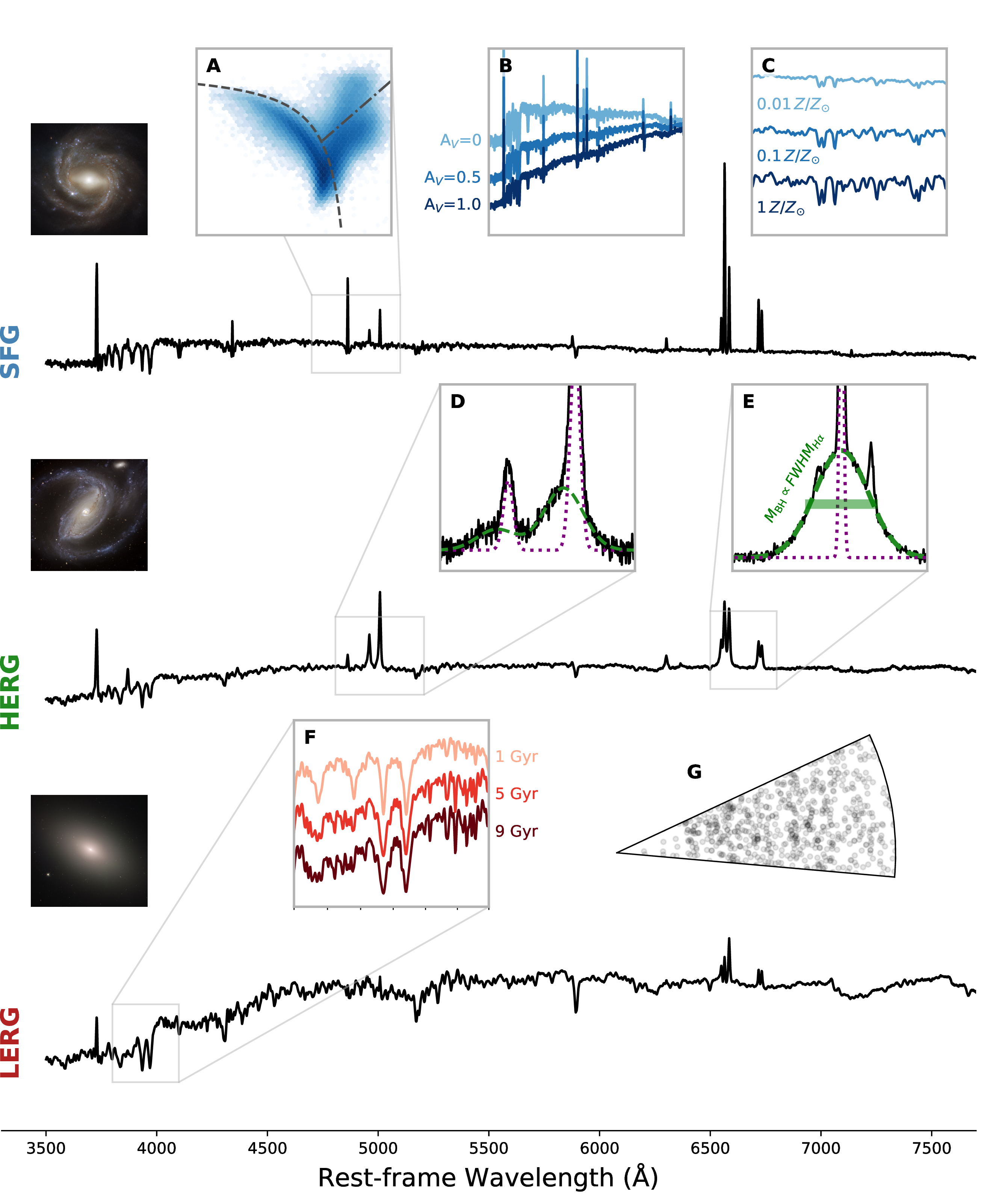 Figure 1: Visual summary of key observables unlocked by optical spectroscopy. We show stacked composite spectra of radio continuum detected galaxies classified as star-forming galaxies (SFG), high-excitation radio galaxies (HERGs) and low-excitation radio galaxies (LERGs) following the approach presented in [35]. Inset panels A - G are discussed in further detail in the main body of the text – we note, however, that most of the probes featured in the inset axes are potentially applicable to all three galaxy types. The thumbnail galaxy images are chosen to be nearby galaxies that are loosely illustrative of the corresponding composite spectra: NGC 7773 as a barred spiral star-forming galaxy, NGC 1097 as a star-forming galaxy with a Seyfert nucleus, Messier 59 as a luminous passive galaxy typical of LERG hosts.