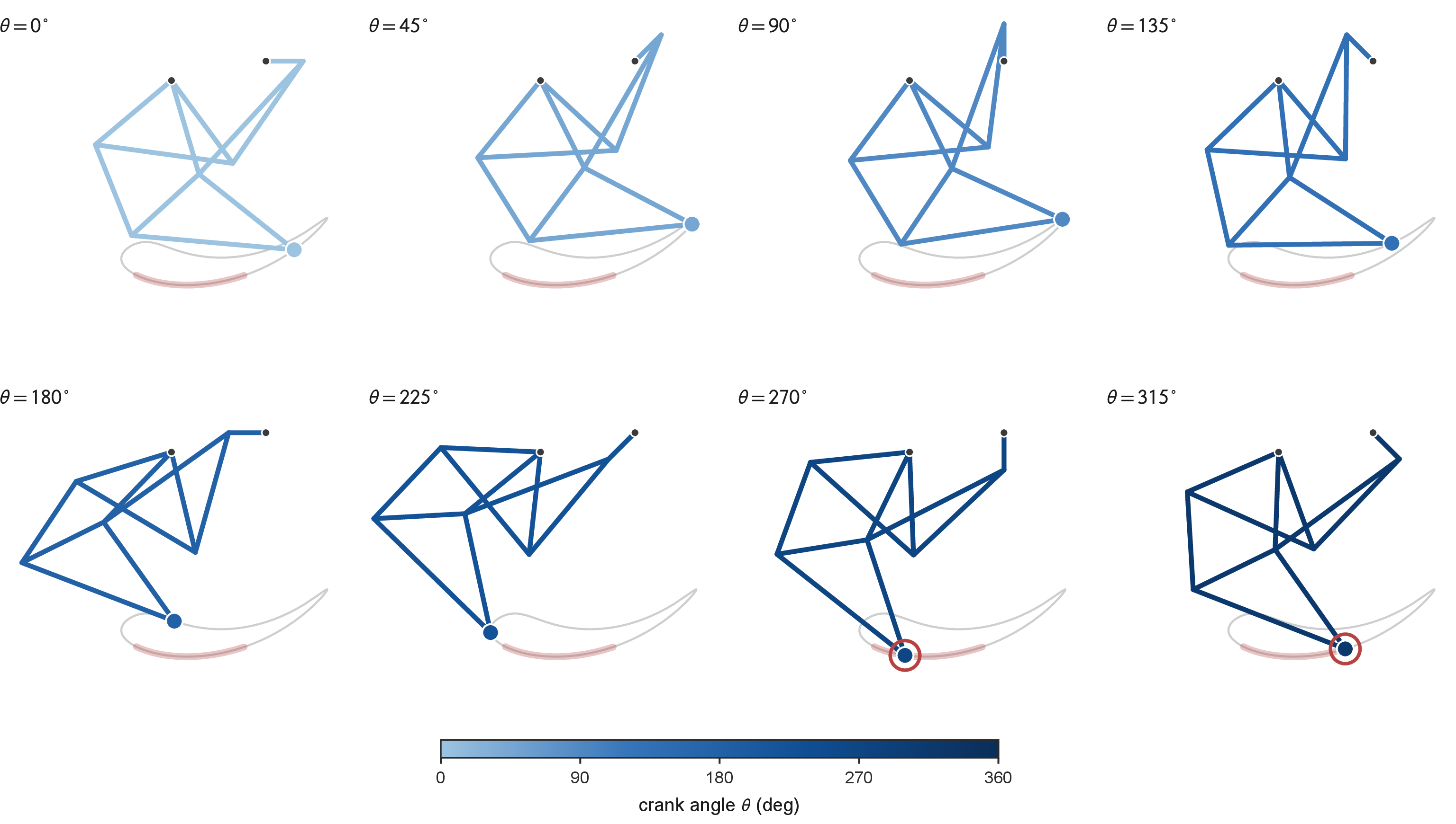 Figure 1: The Jansen walking leg over one crank revolution, drawn as eight poses coloured by crank angle \theta (colour bar). The single-degree-of-freedom linkage carries the foot along a near-flat, low-ripple ground-contact arc (highlighted red) and a high return arc (grey foot path); the foot is ringed in red while in stance, and the crank and ground pivots (dark dots) are fixed. This study gives the revolute joints of this mechanism a radial clearance and asks how it wears.
