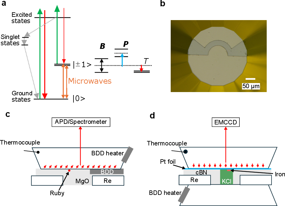 Figure 1: Experimental configurations for ODMR measurements under high pressure.(a) Energy-level diagram of NV center.(b) Optical image of the diamond anvil with boron-doped diamond antenna.(c) Schematic of the DAC setup for ODMR measurements using (100)-oriented diamond anvil.(d) Schematic of the DAC setup for wide-field ODMR measurements using (111)-oriented diamond anvil.
