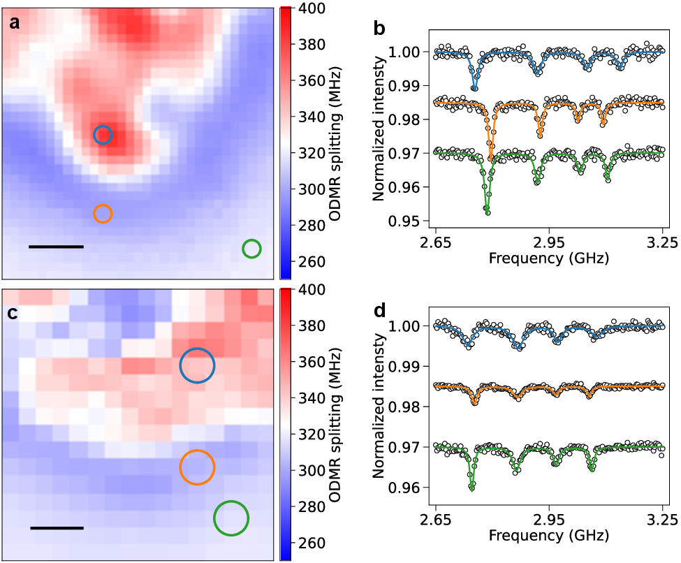 Figure 5: Wide-field ODMR under simultaneous high-pressure and high-temperature conditions.(a) ODMR splitting map measured at 430 K and P_{\mathrm{ODMR}}=11.2 GPa.(b) Representative ODMR spectra obtained from regions with enhanced splitting, reduced splitting, and far from the iron foil for the data shown in (a).(c) ODMR splitting map measured at 500 K and P_{\mathrm{ODMR}}=7.2 GPa.Camera binning was employed in this measurement to improve the signal-to-noise ratio within the limited acquisition time, resulting in coarser spatial sampling.(d) Representative ODMR spectra obtained from regions with enhanced splitting, reduced splitting, and far from the iron foil for the data shown in (c).The ODMR spectra are vertically offset by 0.015 for clarity.The scale bars in (a) and (c) represent 10 \mum.