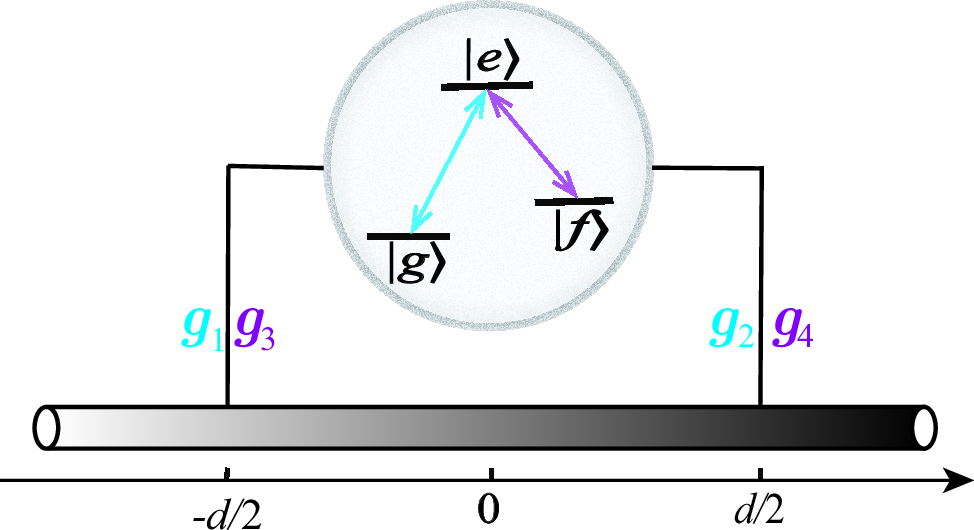 Figure 1: (Color online) A sketch of the system: a three-level GA with a \Lambda-type configuration coupled to a linear waveguide. The upper level \left\vert e\right\rangle is coupled to lower levels \left\vert
g\right\rangle and \left\vert f\right\rangle by the same vacuum modes of a one-dimensional (1D) waveguide at position x=-d/2 and d/2.