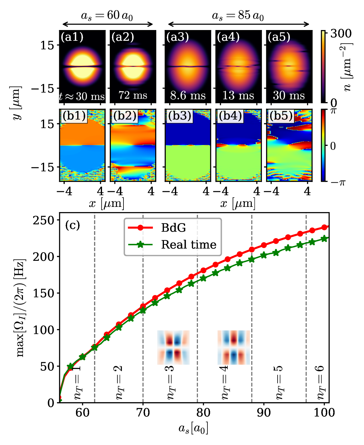Figure 2: Dynamical signatures of transverse instability. (a1)–(a2) Snapshots of the density profile at selected times (see legends) for scattering length a_s=60\,a_0, showing the nucleation of a solitonic vortex. (a3)–(a5) Density profiles for a_s=85\,a_0, showing the bending of the straight soliton and the nucleation of vortex–antivortex pairs. (b1)–(b5) Corresponding phase profiles, showing the phase winding associated with the density deformation. (c) Maximum imaginary frequency, or instability growth rate, as a function of a_s from BdG theory (red circles) and real-time dynamics (green stars). Dashed vertical lines mark changes in the number n_T of transverse nodal lines of the most unstable mode; insets show representative \delta \rho patterns. Other parameters are as in the main text.