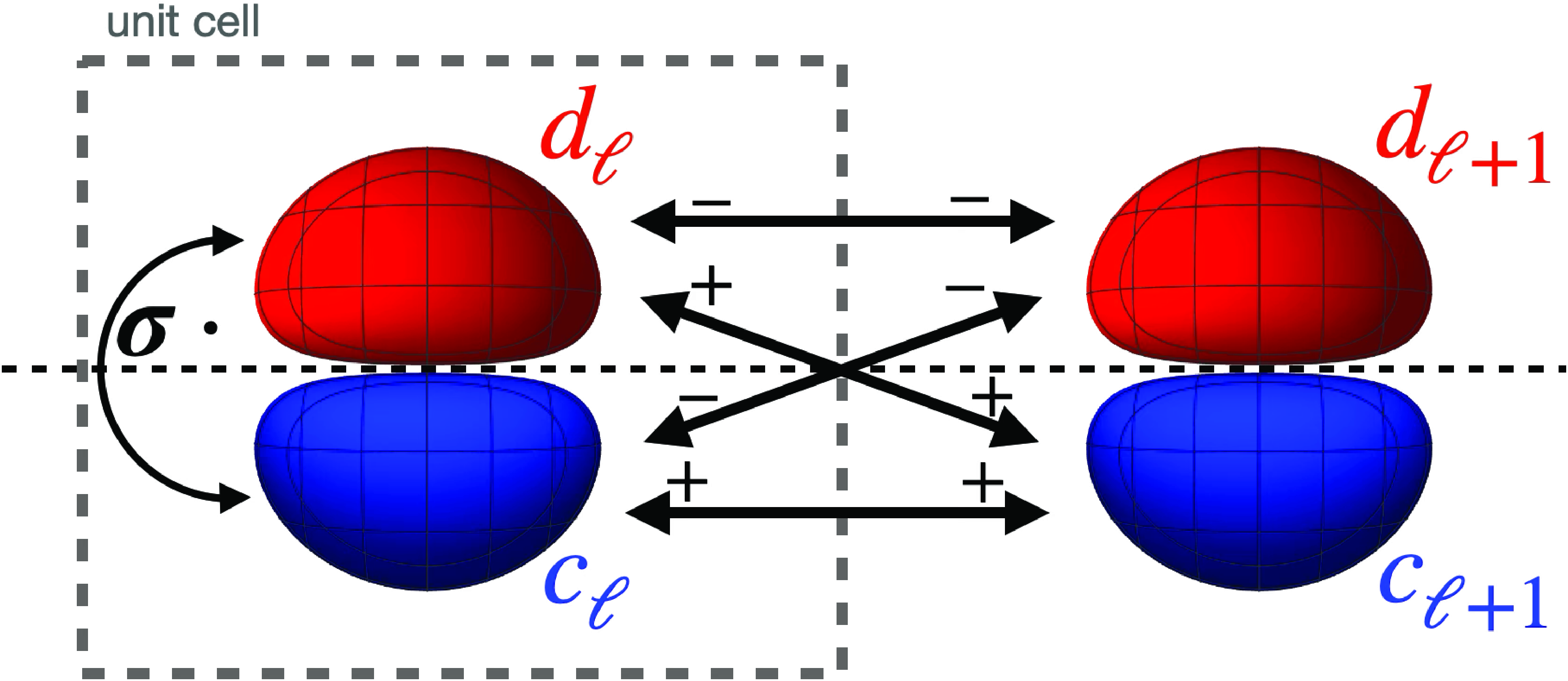 Figure 1: Schematic of the one-dimensional model with two orbitals c (blue) and d (red) per unit cell labeled by \ell. The \boldsymbol{\lambda}-dependent onsite SOC is indicated by \boldsymbol{\sigma} and the black arrows indicate the phases of the intersite hopping terms. Not shown in this schematic is the mass term which depends on both \boldsymbol{\lambda} and m (see Eq.@eq:eq:1D95hamiltonian ). Reproduced from Ref. [27].
