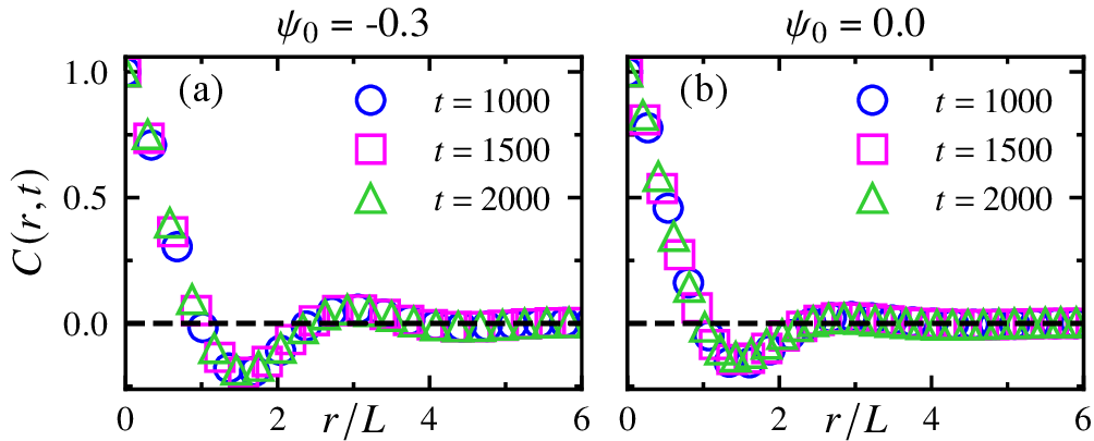 Figure 10: Scaled correlation function corresponding to the evolution shown in (a) Fig. 6 and (b) Fig. 5, demonstrating data collapse at different times.
