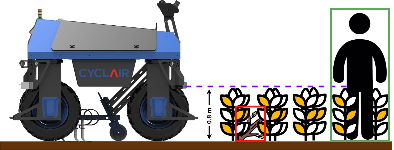 Figure 1: Illustration of the obstacle detection challenge for an agricultural rover. Large obstacles indicated by the green box can be easily detected by safety LiDAR or radar, with the minimum detection height indicated by the purple line. However, smaller obstacles such as those by the red box cannot be detected by these sensors because they are smaller than plants. Only a method using more complex sensors, such as an RGB camera, can detect these obstacles.