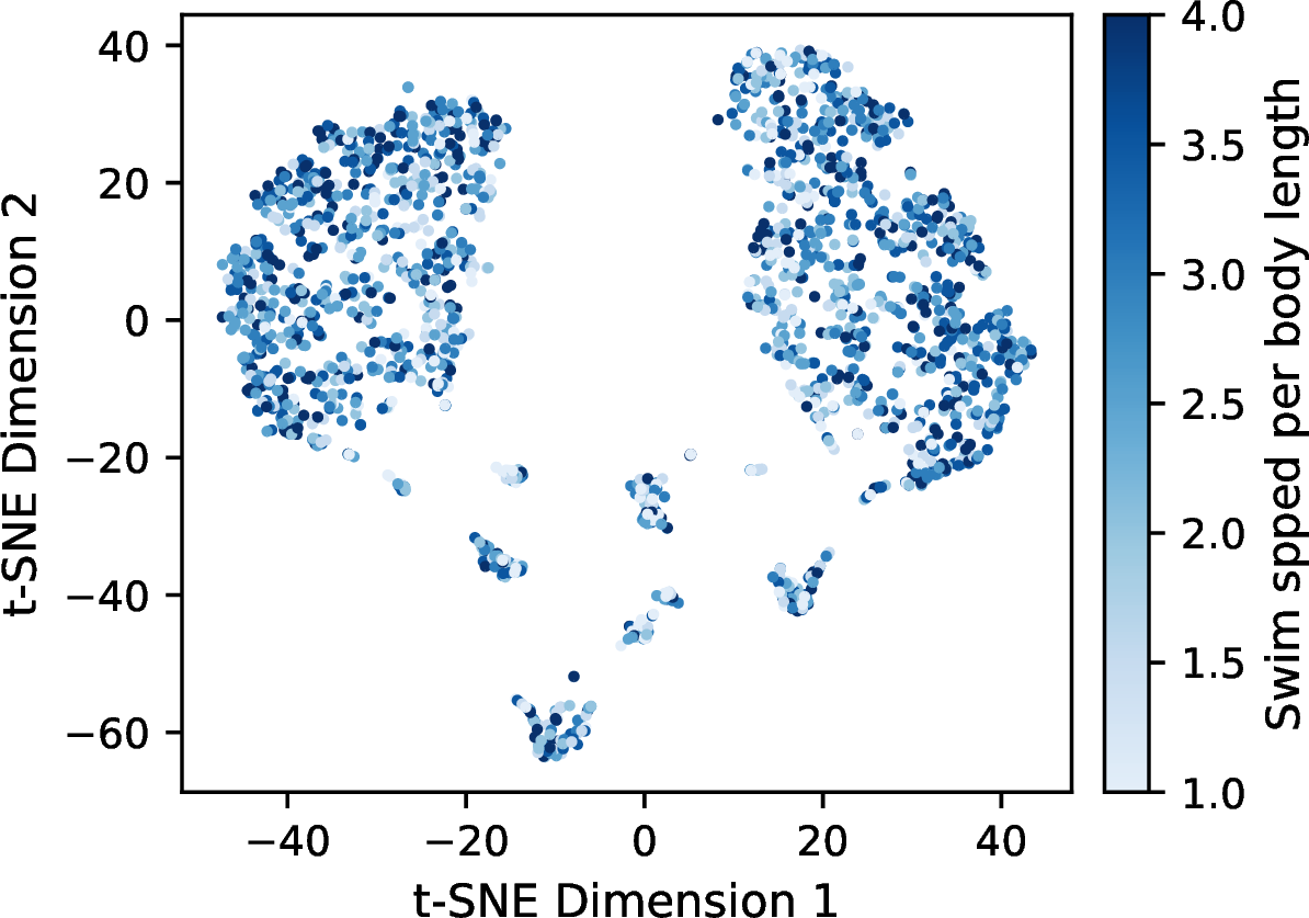 Figure 8: t-SNE embedding colored by swimming speed. The color indicates swim speed in body lengths per second. Robots of all speeds appear across clusters, confirming that emergent strategies are velocity-independent.
