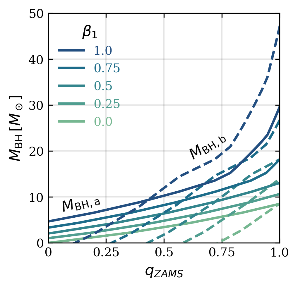 Figure 4: The minimum mass of each component of a BBH formed through the SMT-only channel according to our analytic model for the five \beta_1 values we simulated. Increasing \beta_1 results in a higher minimum limit for both M_{\mathrm{BH},a} and M_{\mathrm{BH}, b}