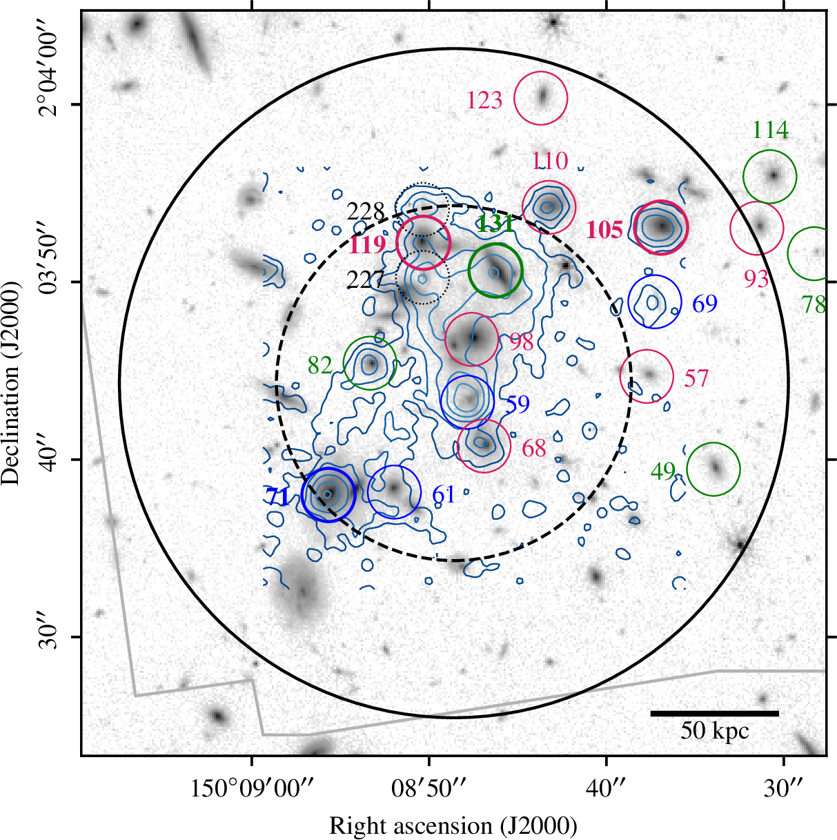 Figure 1: JWST image (F277W band, logarithmic scale, arbitrary unit) of the over-dense region in the CGr30 galaxy group at z\sim 0.7, from the COSMOS-Web program [59], with galaxy group members marked using circles. Logarithmic MUSE []contours from [60], [61] are overlaid in blue. Eight galaxies of the group, including an AGN-host (#71), are embedded in a huge []-bright structure of ionized gas extending over \sim 10^4 kpc^2. Both the NOEMA primary beam (solid black circle of 38diameter at \rm \nu_{obs} = 133.6~GHz) and the 30m beam (dashed black circle of 20diameter at the same observing frequency) cover these galaxies. Galaxies observed by MUSE are identified by their MUSE IDs and colored according to their position with respect to the main sequence (on in green, below in red and above in blue, cf. Fig. 2). Galaxies whose CO(2-1) emission was detected as part of our NOEMA program, namely #71, #105, #119, and #131, are highlighted in bold. The MUSE field of view is indicated by a light gray line.