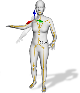 Figure 2: Human pose and shape representation in rotation-based.