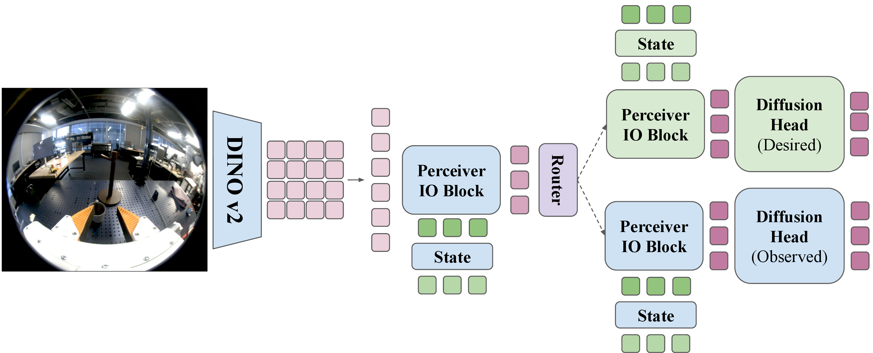 Figure 3: Model Architecture. We propose BRIDGE, an extension of Diffusion Policy that dynamically routes between predicting observed and desired actions. Visual observations are encoded via DINOv2 [30], processed through a Perceiver IO block, and fused with state features via cross-attention. This shared latent representation is passed to a state-conditioned router, which hard-switches between the observed diffusion head and the desired diffusion head. To train BRIDGE, we sequentially train the base model (shown in blue), collect targeted teleoperated demonstrations to train the support head (green), and finally train the router (purple).