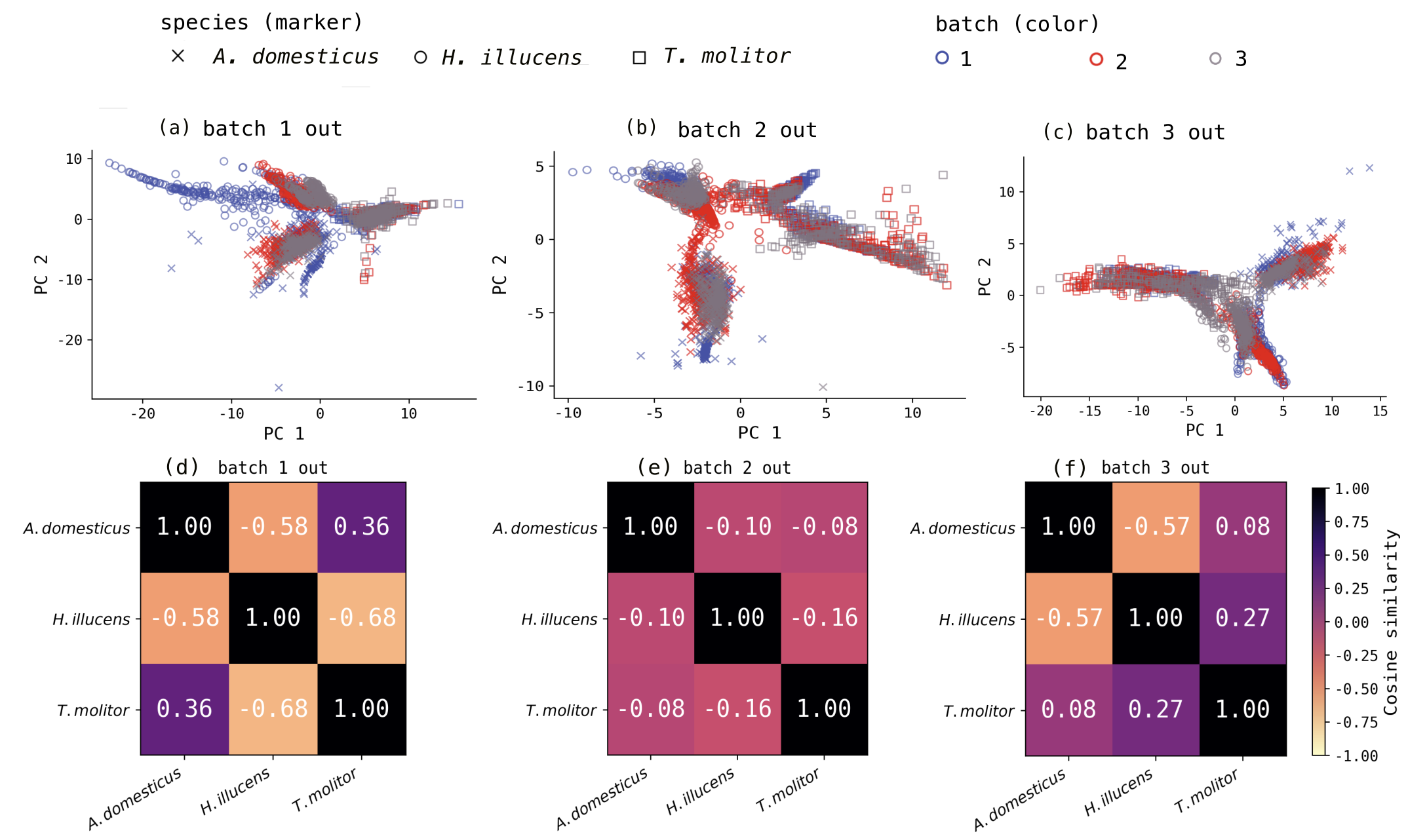 Figure 4: BISN latent embedding visualisation across leave-one-batch-out (LOBO) folds. (a–c) PCA projections of the 8-dimensional BISN embedding for LOBO folds. Marker shapes denote batch identity and colours denote species. (d–f) Cosine similarity matrices of mean BISN embeddings across insect species for LOBO folds 1, 2, and 3. AD: A. domesticus; HI: H. illucens; TM: T. molitor. Off-diagonal values reflect inter-species embedding similarity. Fold 1 exhibits the highest inter-species similarity between A. domesticus and T. molitor (0.36); fold 3 shows the closest proximity between H. illucens and T. molitor (0.27).