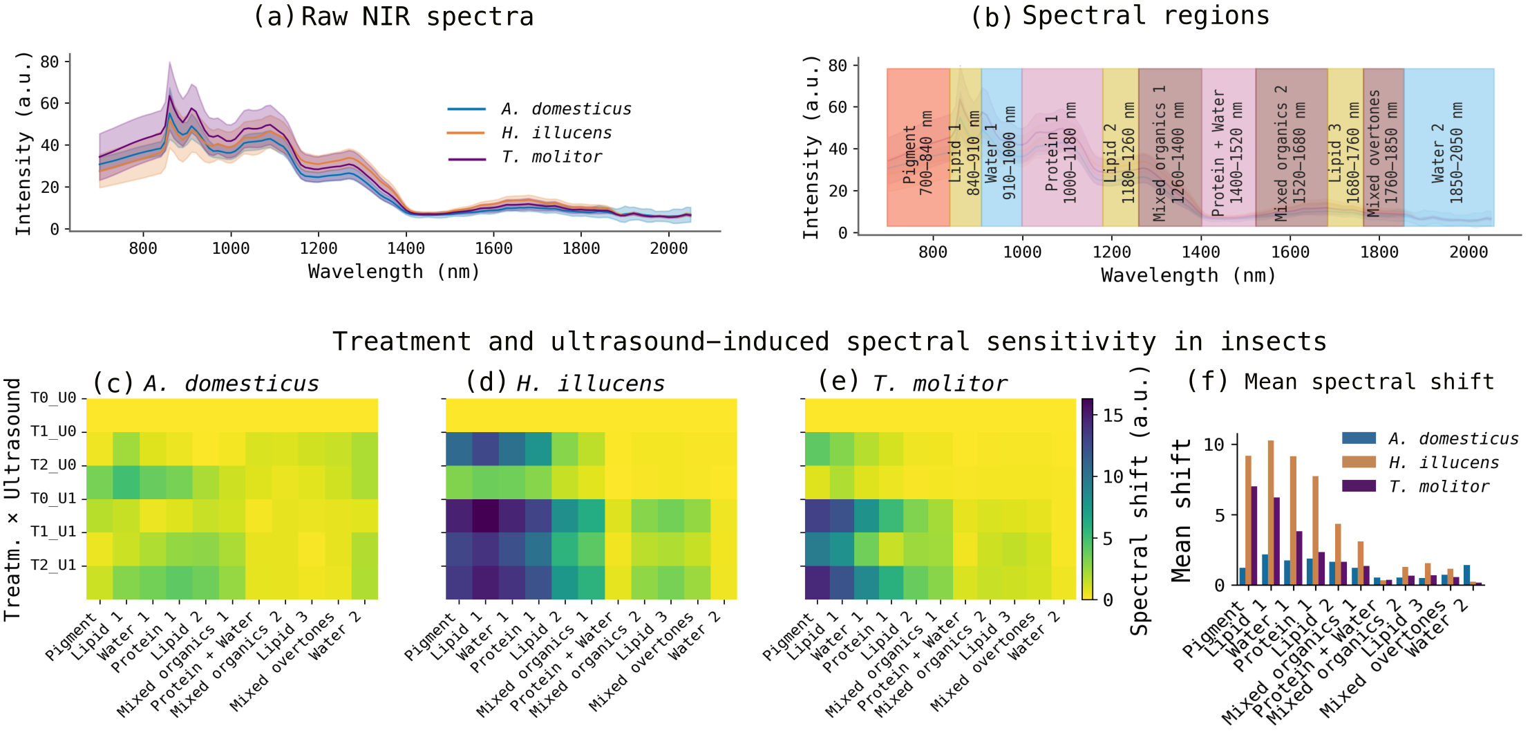 Figure 2: Spectral sensitivity analysis across insect species, processing treatments, and chemically defined NIR wavelength regions. (a) Mean raw NIR spectra showing species-specific baseline profiles and wavelength-dependent variability. (b) The shaded bands indicate the eleven chemically defined regions detailed in Supplementary 8. (c–e) Region-level spectral perturbation heatmaps for insect species. The rows correspond to the treatment–ultrasound combination relative to the control (T0_U0: fresh insects in tap water, no ultrasound), and the columns refer to the eleven different spectral regions. Color intensity encodes the absolute mean spectral deviation from the control. H. illucens exhibits the largest and most widespread perturbations, concentrated in pigment, lipid 1, water 1, and protein 1 under ultrasound-assisted PAW (T2_U1). (f) Mean spectral shift per region aggregated across treatments and ultrasound conditions, revealing species-specific susceptibility profiles.