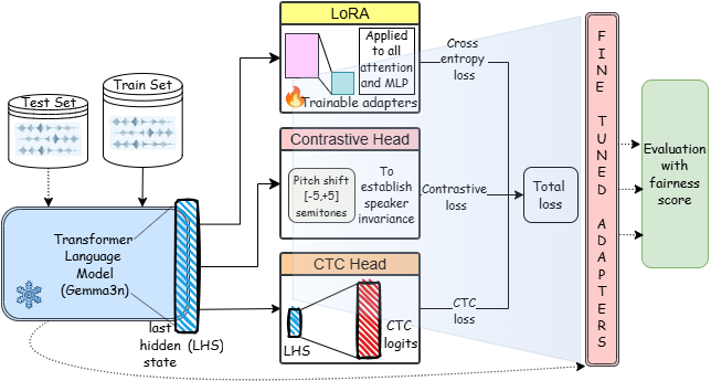 Figure 1: Architecture for proposed fine-tuning pipeline illustrating LoRA, contrastive and CTC head. (\to) indicates fine-tuning flow while (\dashrightarrow) shows inference on test set.