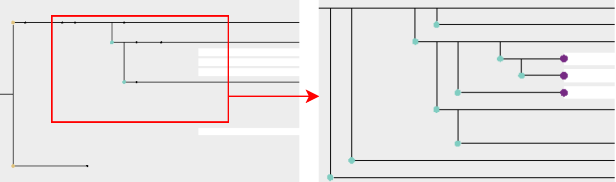 Figure 4: Multiscale visualization of the Gaussian Densification Tree View. The red box and arrow indicate the zoomed region; zooming out reduces clutter, while zooming in reveals local genealogy and densification details.