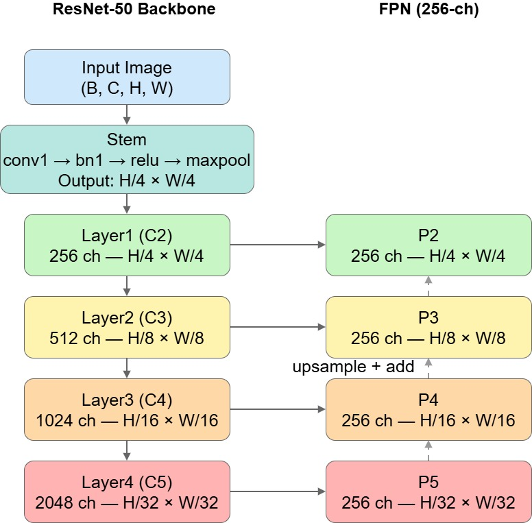 Figure 1: UDFPN architecture with ResNet-50 + FPN; output dimension = 256