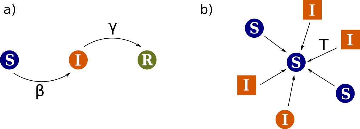 Figure 4: Spreading model: (a) Simple contagion: SIR compartmental model. (b) Complex Contagion, with threshold T. The central node will become informed if it has a fraction of informed neighbours, no matter which the belong, higher than T.