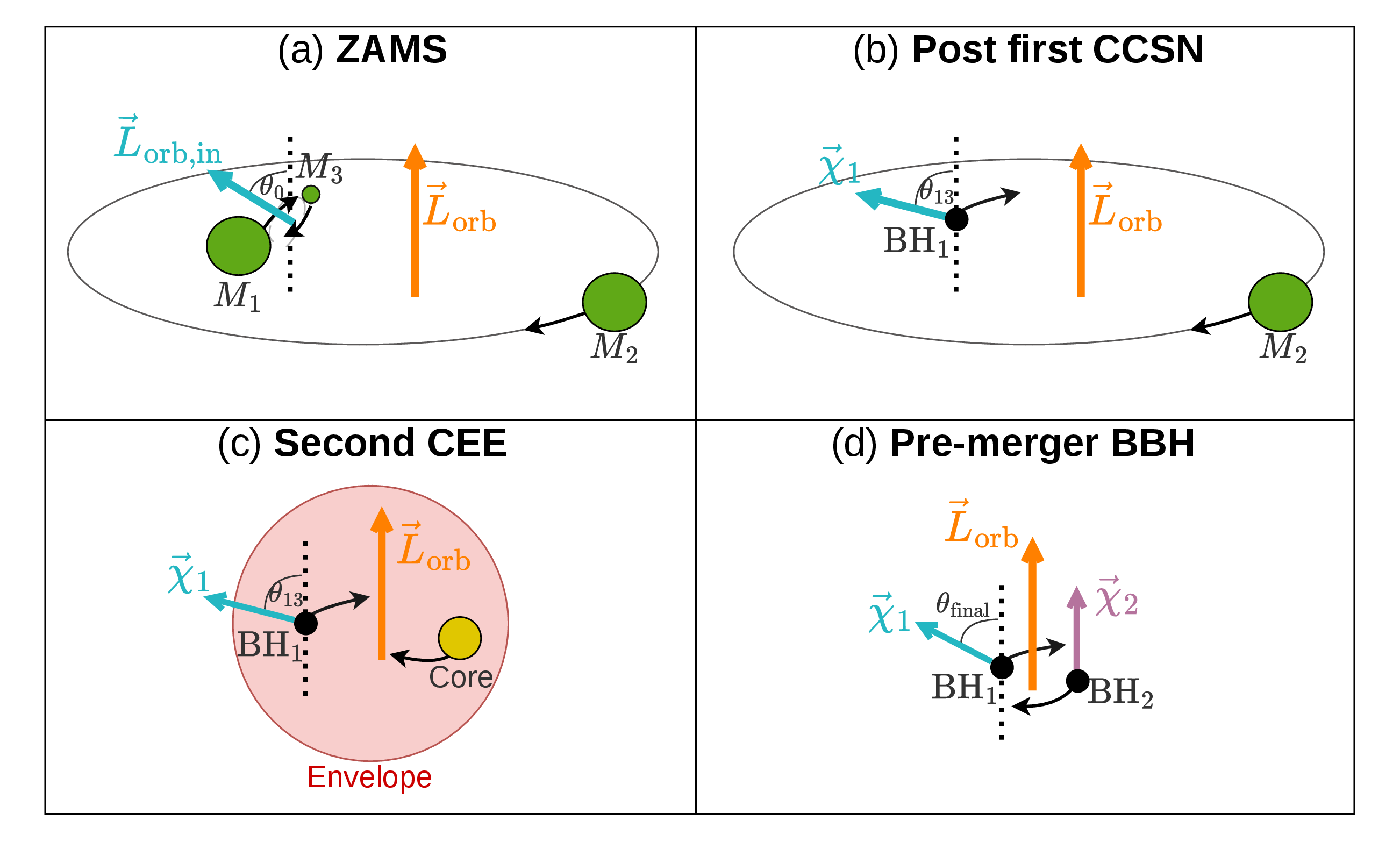 Figure 3: Schematic illustration of the angular momentum and spin configuration at four stages of the evolution described in section 2. (a) ZAMS: the inner orbital angular momentum \vec{L}_{\mathrm{orb,in}} is inclined by an angle \theta_0 relative to the outer orbital angular momentum \vec{L}_{\mathrm{orb}}. (b) Post first CCSN: the first-born BH carries a spin \vec{\chi}_1 approximately aligned with \vec{L}_{\mathrm{orb,in}}, and therefore inclined by \theta_{13} relative to \vec{L}_{\mathrm{orb}}; this angle differs in general from \theta_0 due to the inner merger and the first CCSN (see text). The thin black arrow emerging from the BH indicates the direction of its orbital velocity. (c) Second CEE: the first-born BH spirals inside the secondary’s envelope. (d) Pre-merger BBH. For visual simplicity, \vec{\chi}_1 and \vec{L}_{\mathrm{orb}} are drawn with the same orientations as in panel (c); in practice, both may change during the second CCSN, as discussed in the text.
