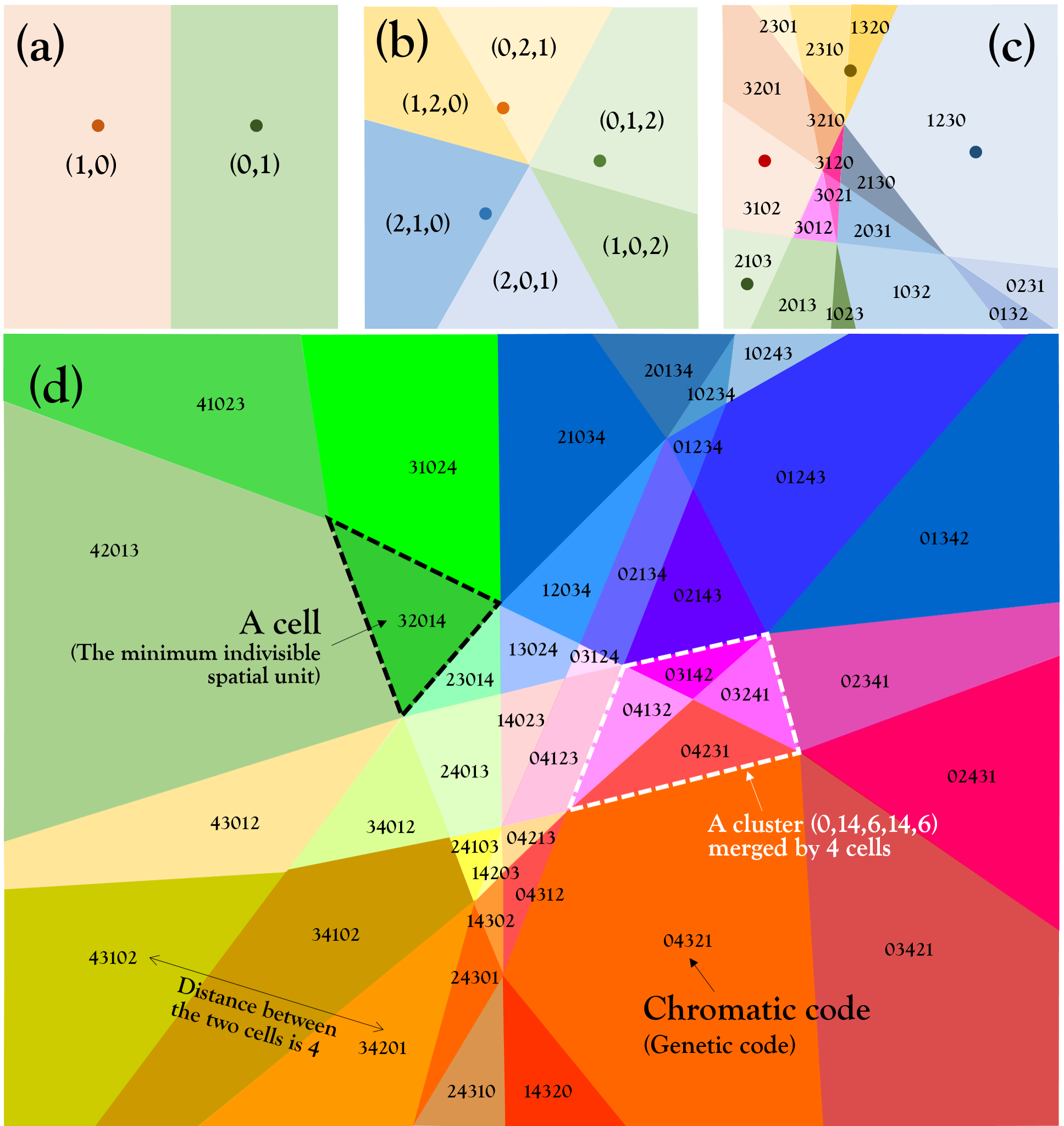 Figure 1: SCM space and their cells generated by (a) two, (b) three, (c) four, and (d) five objects (see dots in subfigures). Note that the subfigure (d) is a homeomorphous part of the SCM space generated by five objects, which are not shown in the subfigure.