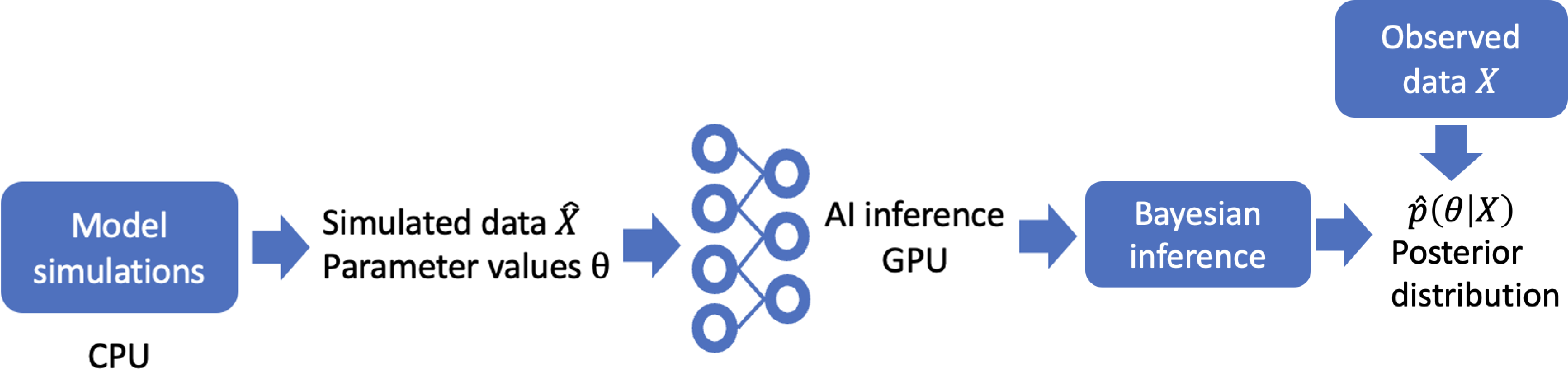 Figure 2: Workflow of amortized neural posterior estimation (NPE). Parameters \theta are sampled from the prior distribution and propagated through the SECIR epidemiological model to generate simulated ICU occupancy trajectories \hat{X}. The resulting parameter–trajectory pairs (\theta,\hat{X}) are used to train a neural density estimator that approximates the conditional posterior distribution p(\theta|X). After training, the observed ICU occupancy data X are provided as conditioning information, and samples are drawn from the learned posterior approximation \hat{p}(\theta|X). Because the posterior estimator is trained once and subsequently reused for inference, the approach is amortized.