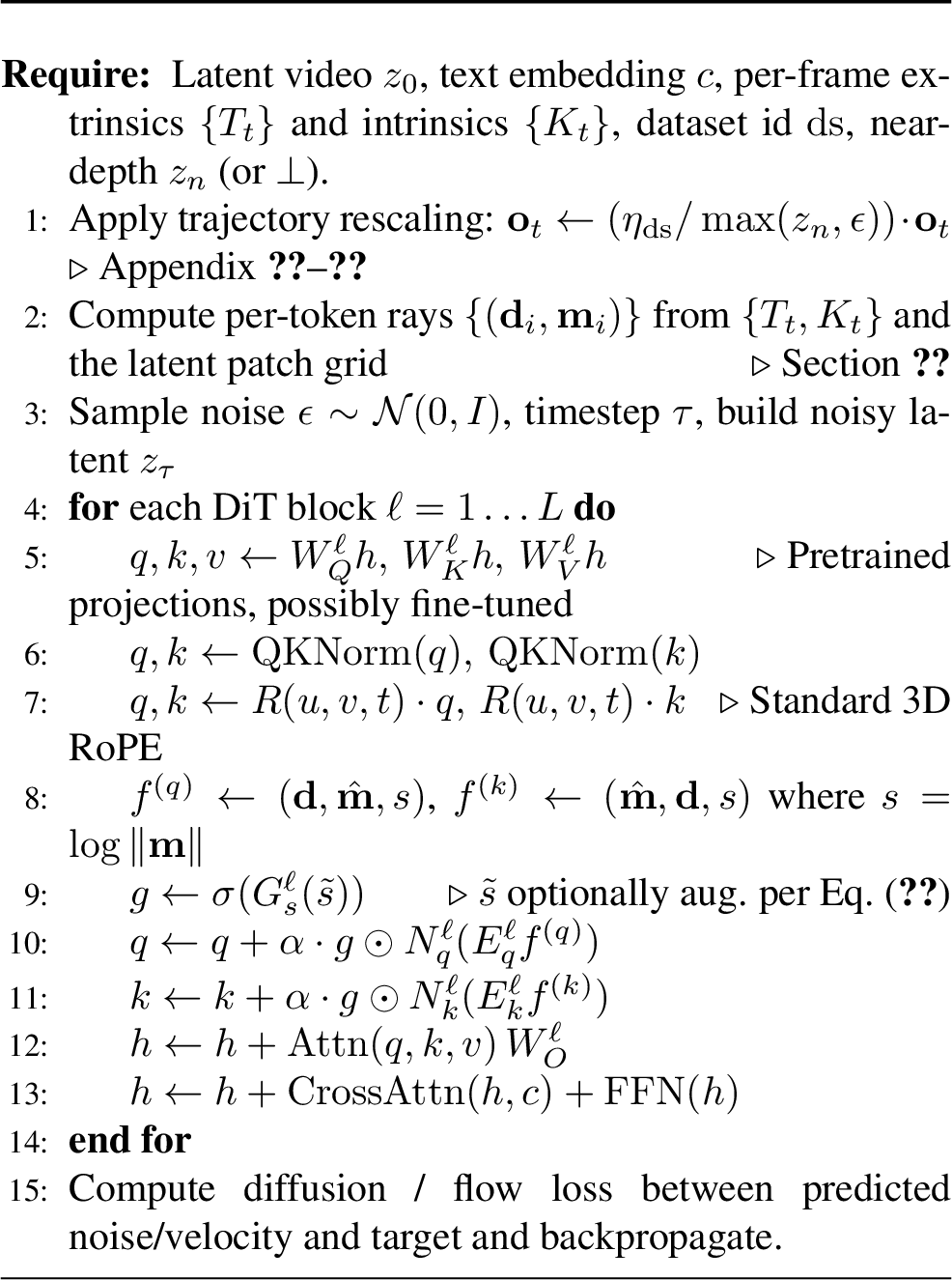 Figure 3: One forward-backward step of RayPE on top of a pretrained video DiT.