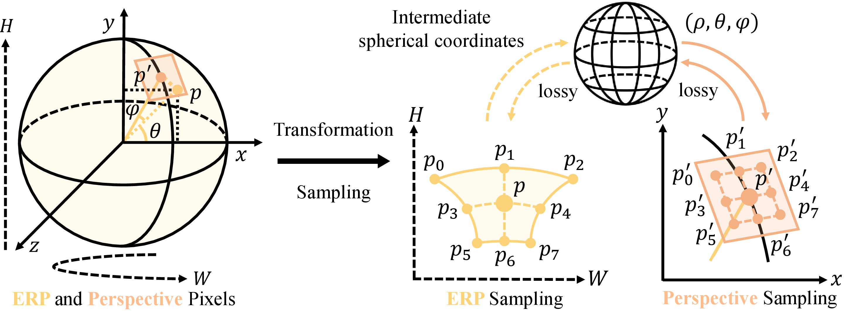 Figure 3: Illustration of pixel distributions in the Equirectangular Projection (ERP) and Perspective Projection Representation (PPR) domains. ERP exhibits increasing latitude-dependent pixel stretching, whereas PPR maintains a uniform pixel distribution and better preserves local geometry.