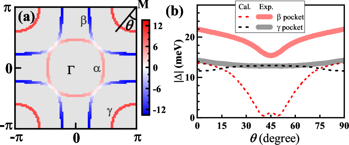 Figure 4: Pairing gap calculated by RPA, compared with experimental results (the shade area in b). (a) Distribution of the SC gap \Delta(k) on the FS. (b) \theta-dependent SC gap on the \beta- FS (red dashed line) and the \gamma- FS (black dashed line).
