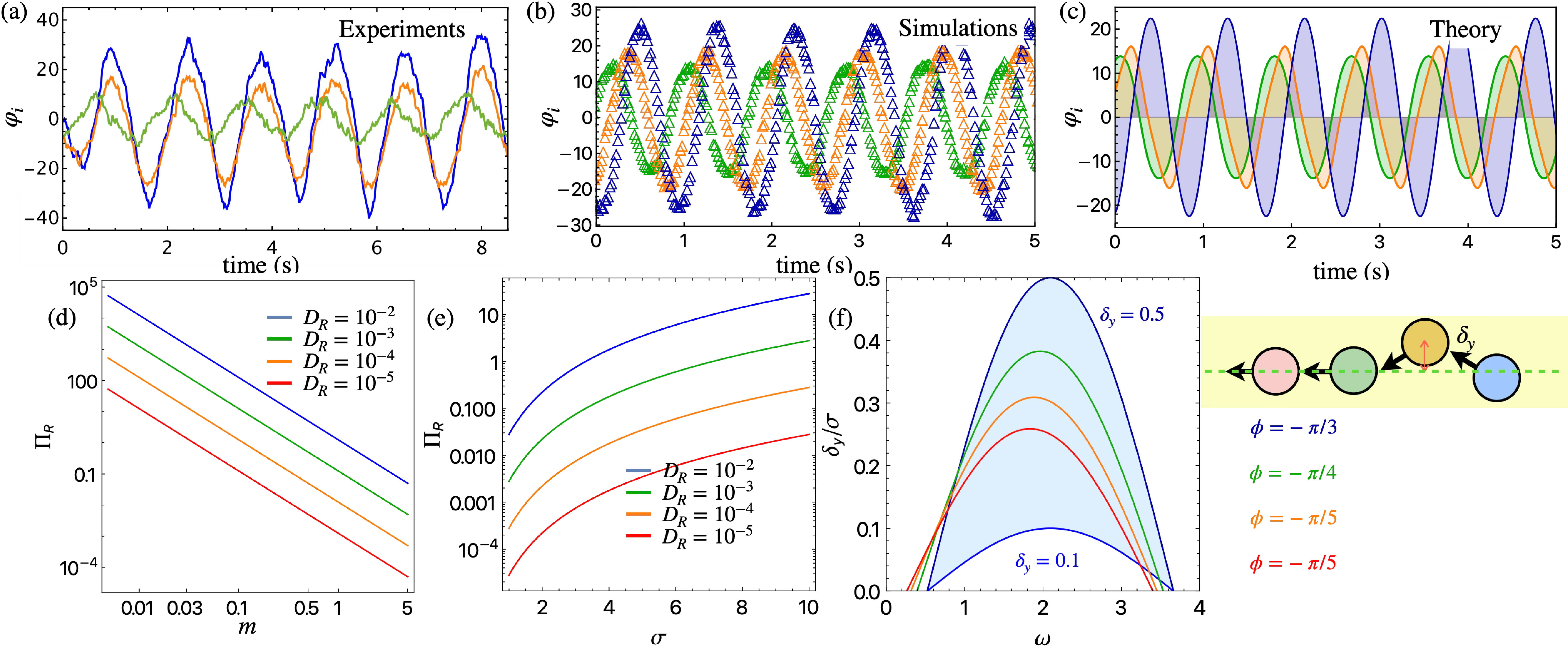 Figure 3: Orientation dynamics and onset of flagellar beating. (a) Time evolution of the orientation angle \varphi_i for each particle during experiments. (b) Same quantity from numerical simulations (triangles). (c) Theoretical orientation time evolution from Eq. 7 for m=1, \sigma=1, \delta_y=0.45, \omega=0.72, and \phi=-\pi/4 for each particle, with amplitude growing with distance from the anchored head. Colors in (a)–(c) indicate particle index: green for i=2, orange for i=3, and blue for i=4 (tail). (d) Rotational noise parameter \Pi_R = 4\pi\gamma_R D_R\sigma^3/\mu_0
m^2 as a function of the magnetic dipole strength m for fixed \sigma, shown for different rotational diffusion coefficients D_R. Larger D_R (blue) leads to \Pi_R \gg 1, where noise dominates and stable flagellar beating is disrupted; smaller D_R (red, as in our setup with D_R = 10^{-5}) gives \Pi_R \ll 1, allowing magnetic torques to maintain chain cohesion. (e) \Pi_R as a function of particle diameter \sigma for fixed m. Increasing \sigma weakens the dipole-dipole interaction, raising \Pi_R and reducing chain stability, consistent with the observation that larger particles require stronger dipole moments to sustain flagellar beating. (f) Stability diagram for the kinematic model: \delta_y/\sigma as a function of angular frequency \omega for different phase angles \phi, showing the range of (\delta_y, \omega, \phi) values that sustain flagellar beating. The shaded region is bounded below by \delta_{y,\rm min} = 0.1\sigma and above by \delta_{y,\rm max} =
0.5\sigma. Dashed lines indicate values observed in experiments (gray) and simulations (red). Inset: schematic of the transverse displacement \delta_y imposed on the tail particles to initiate beating.