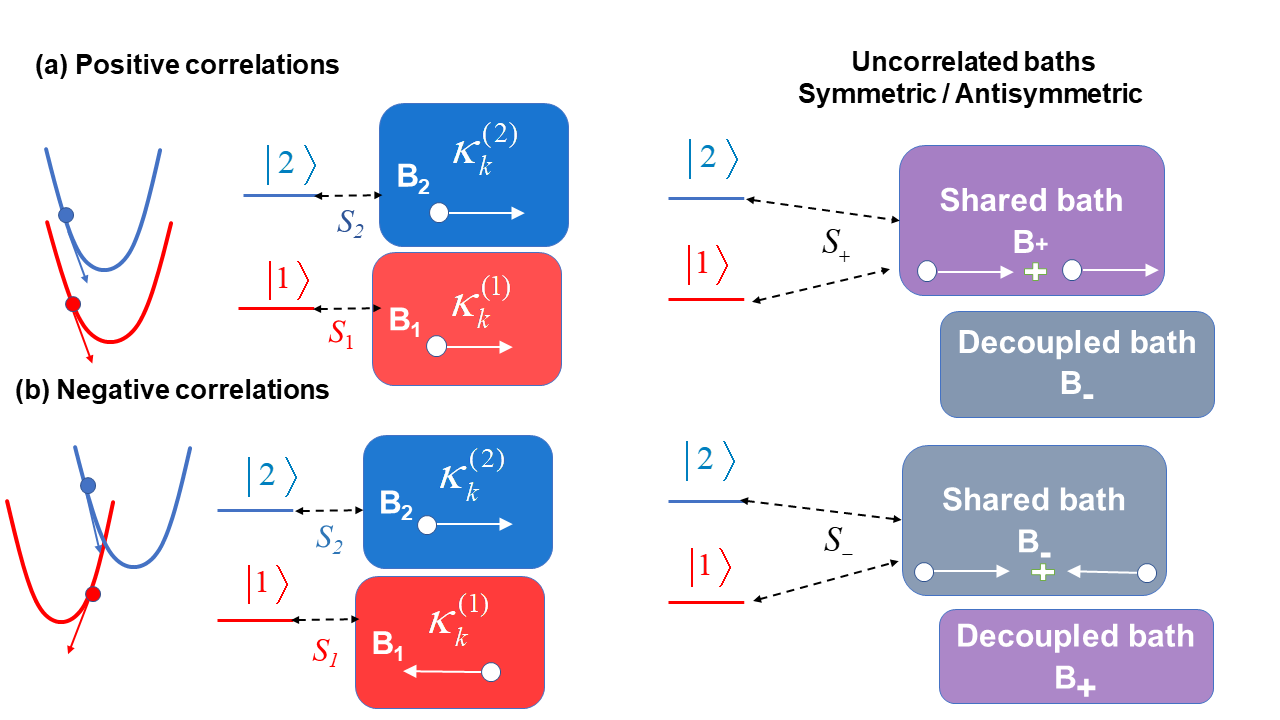 Figure 1: Collective bath modes transformation for fully correlated or fully anti-correlated baths. (a) Positive correlations, the bath modes are in phase. the shared bath is the symmetric combination B_+. (b) Negative correlations, the modes have opposite phases and the shared bath is the antisymmetric combination B_-. The positive or negative correlations are illustrated in the framework of a LVC model.