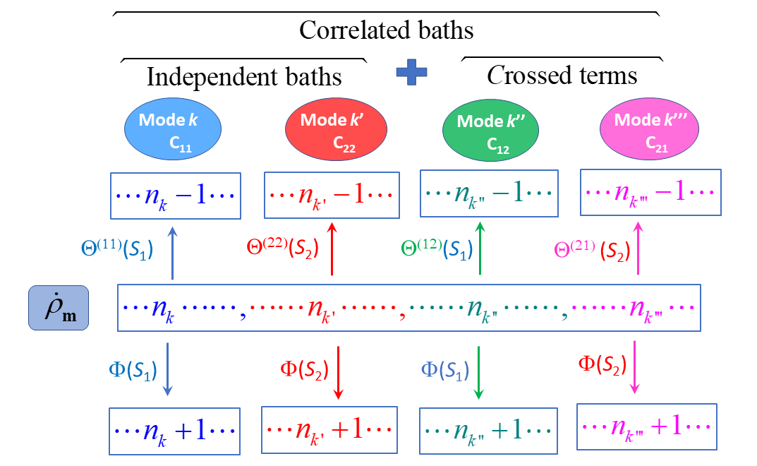 Figure 2: Illustration of the ADOs involved in the master equation (Eq.(19 )) for the matrix \dot{\rho}_{\boldsymbol{m}} in the two-bath case showing the complexity of the hierarchy for the correlated case with respect to the model with independent baths. n_k is the occupation number in the k^{th} mode of the expansion of the correlation function of each bath or of the crossed correlation function. {{\Phi }_{n}}(t)\centerdot =-\left[{{S}_{n}}(t),\centerdot \right] and \Theta _{k}^{(lm)}(t)\centerdot =\alpha _{k}^{(lm)}{{S}_{m}}(t)\centerdot -\bar{\alpha }_{k}^{(lm)}\centerdot{{S}_{m}}(t).