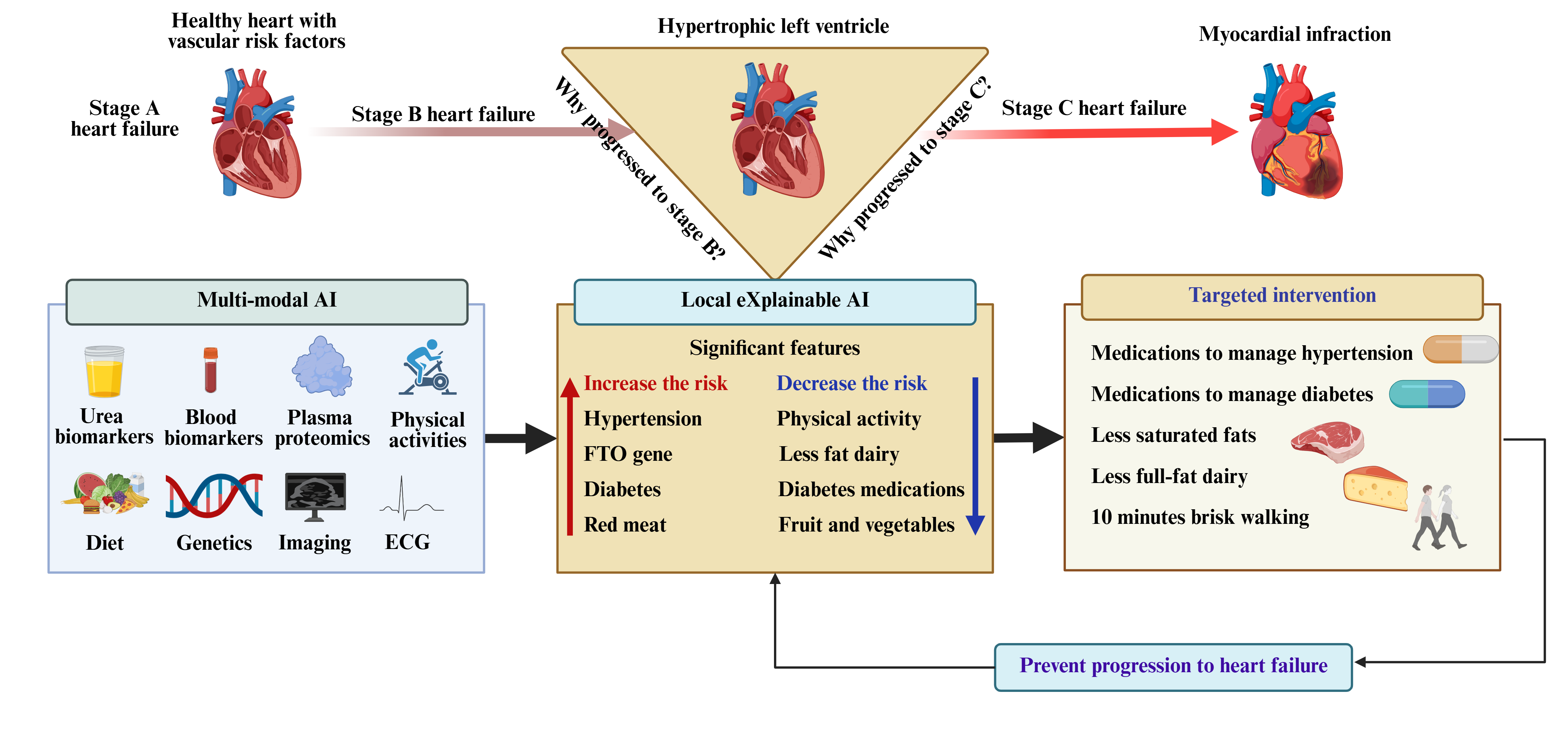 Figure 2: XAI integration with heart failure prohression.