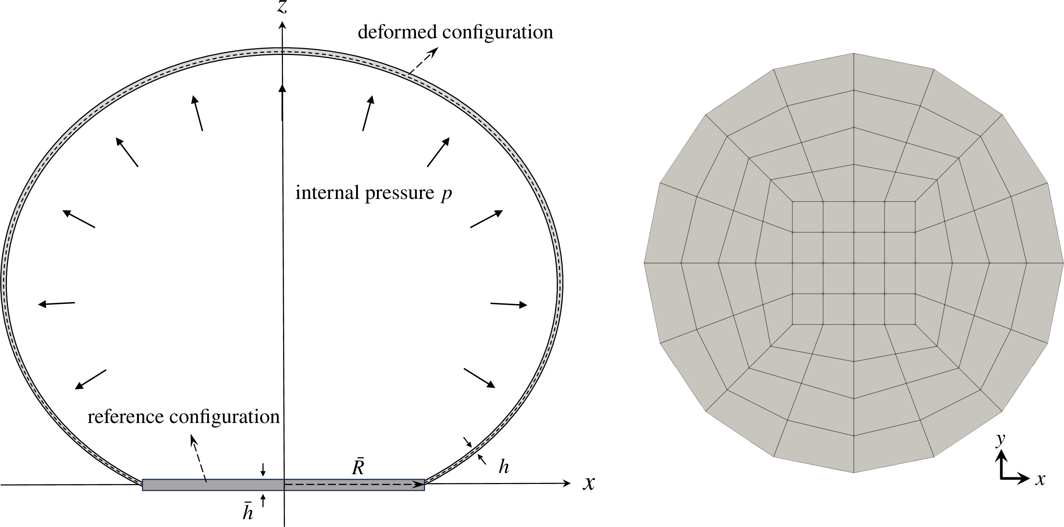 Figure 7: Geometric definition of the electroelastic circular plate. Left: reference and deformed configurations (slice on the xz-plane). Right: control mesh for reference configuration.